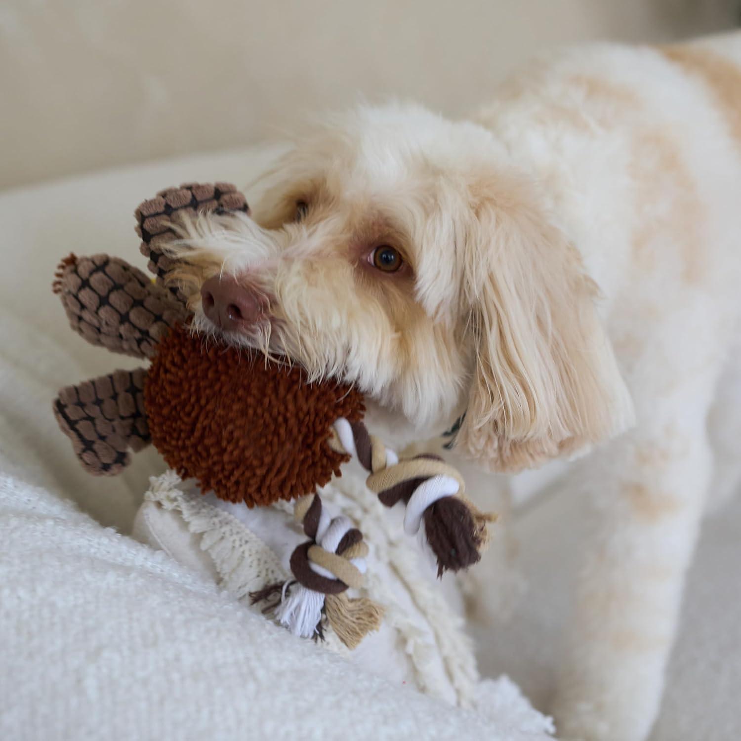 Juguete para Perros Ethical Pets Gigglers Pollo 30 cm