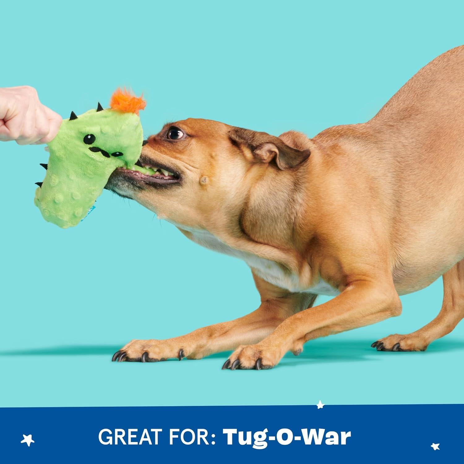 Juguete Interactivo para Perros Barkbox Prickly Pete Pequeño