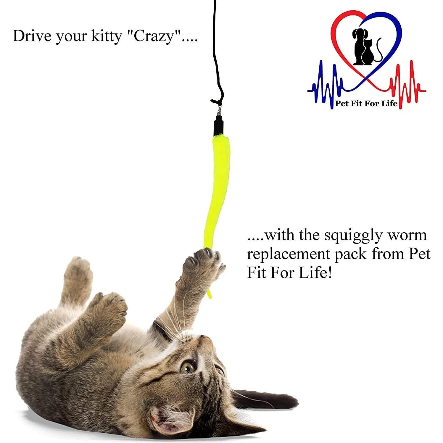 Recarga Juguetes para Gatos Pet Fit For Life 5 Piezas