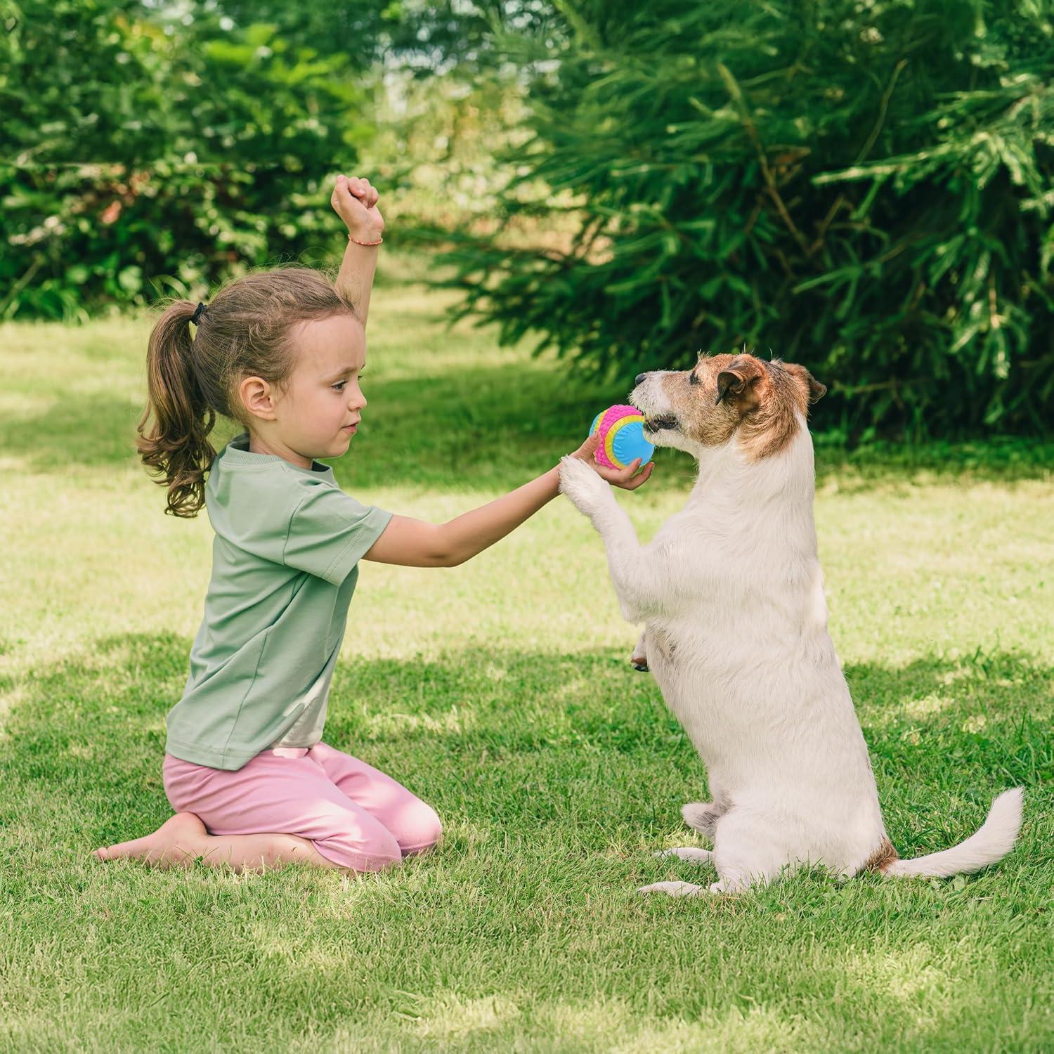 Pelota Sensorial SPOT para Perros 6.35 cm - TPR Duradera
