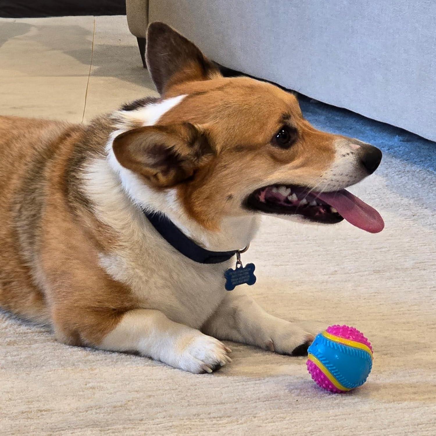 Pelota Sensorial SPOT para Perros 6.35 cm - TPR Duradera