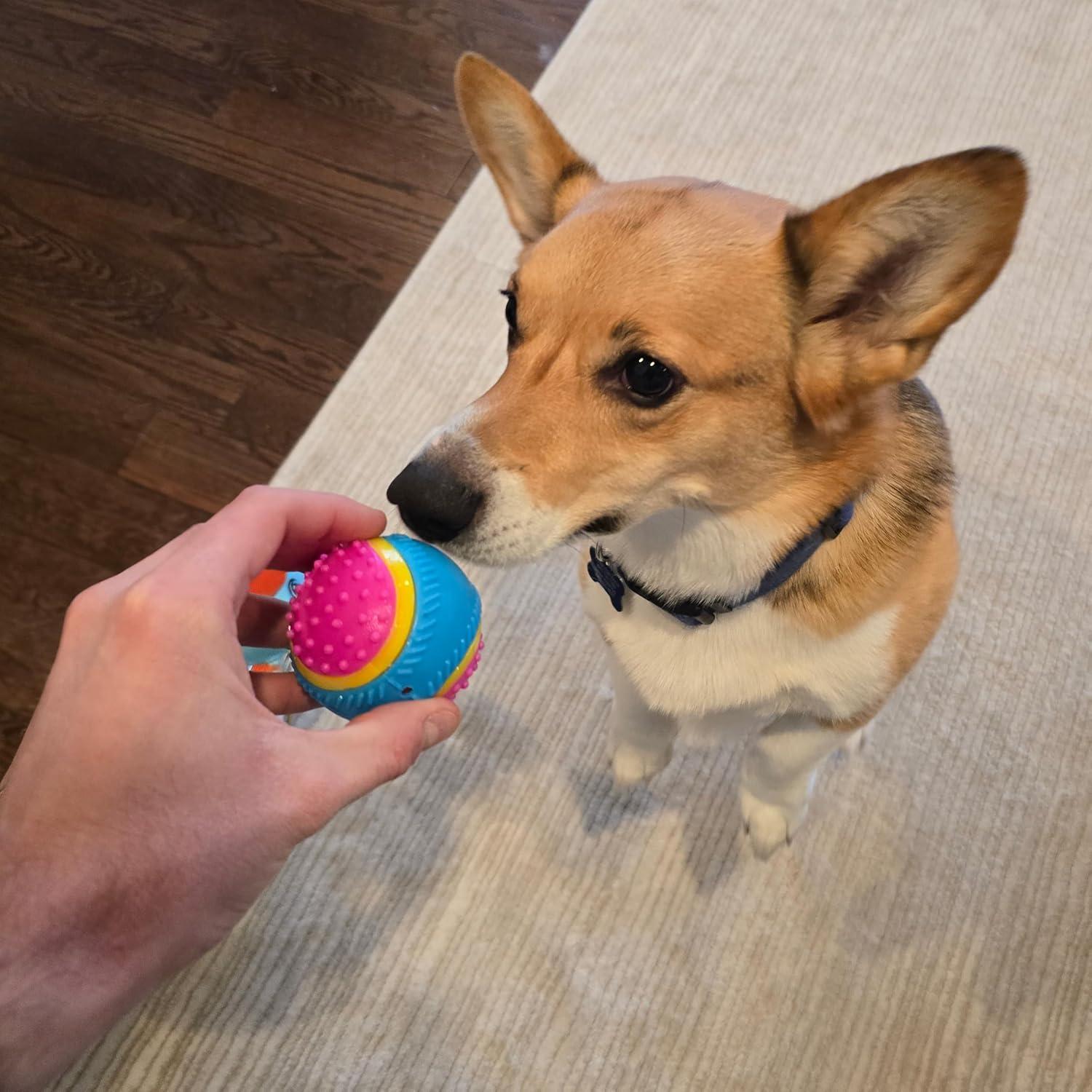 Pelota Sensorial SPOT para Perros 6.35 cm - TPR Duradera