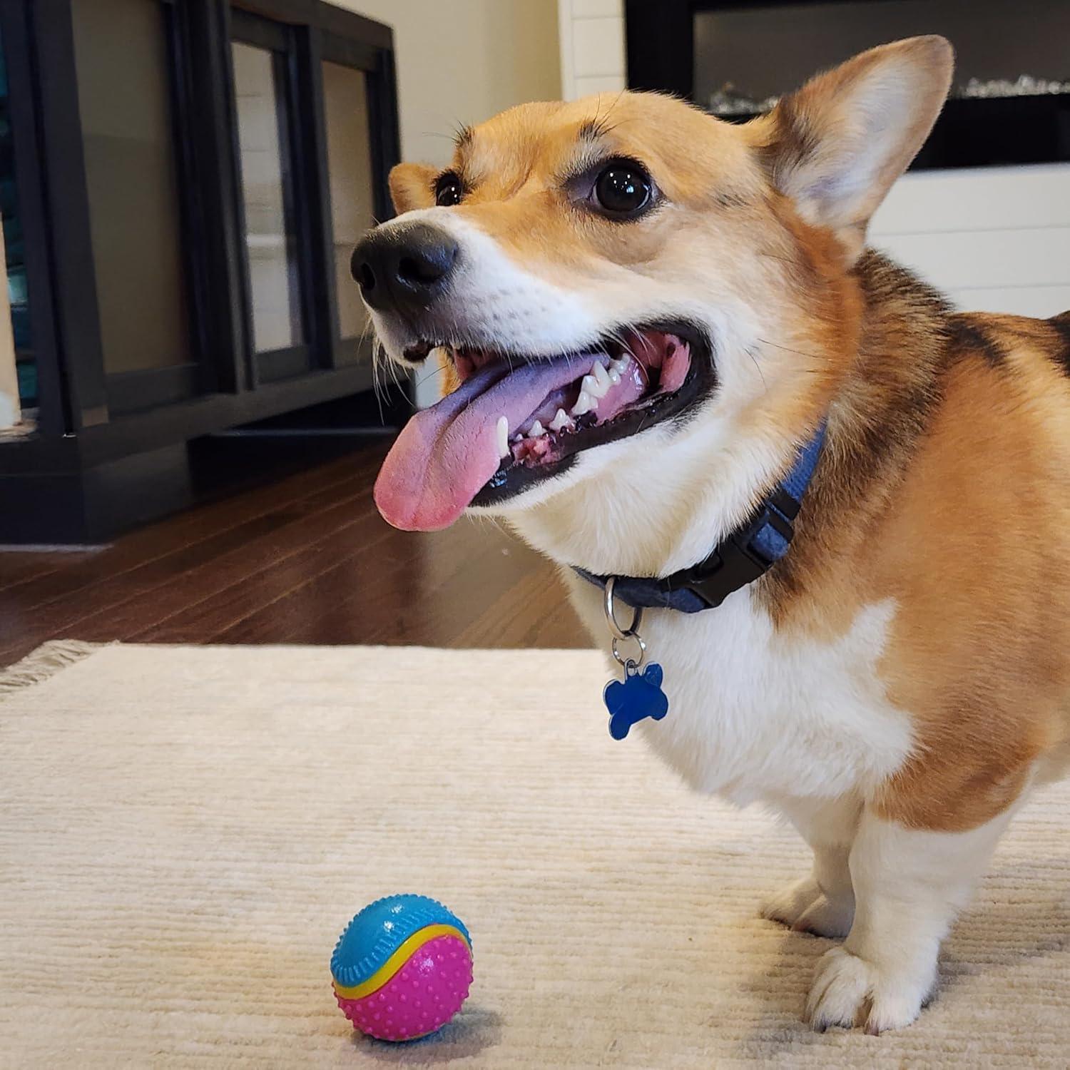 Pelota Sensorial SPOT para Perros 6.35 cm - TPR Duradera
