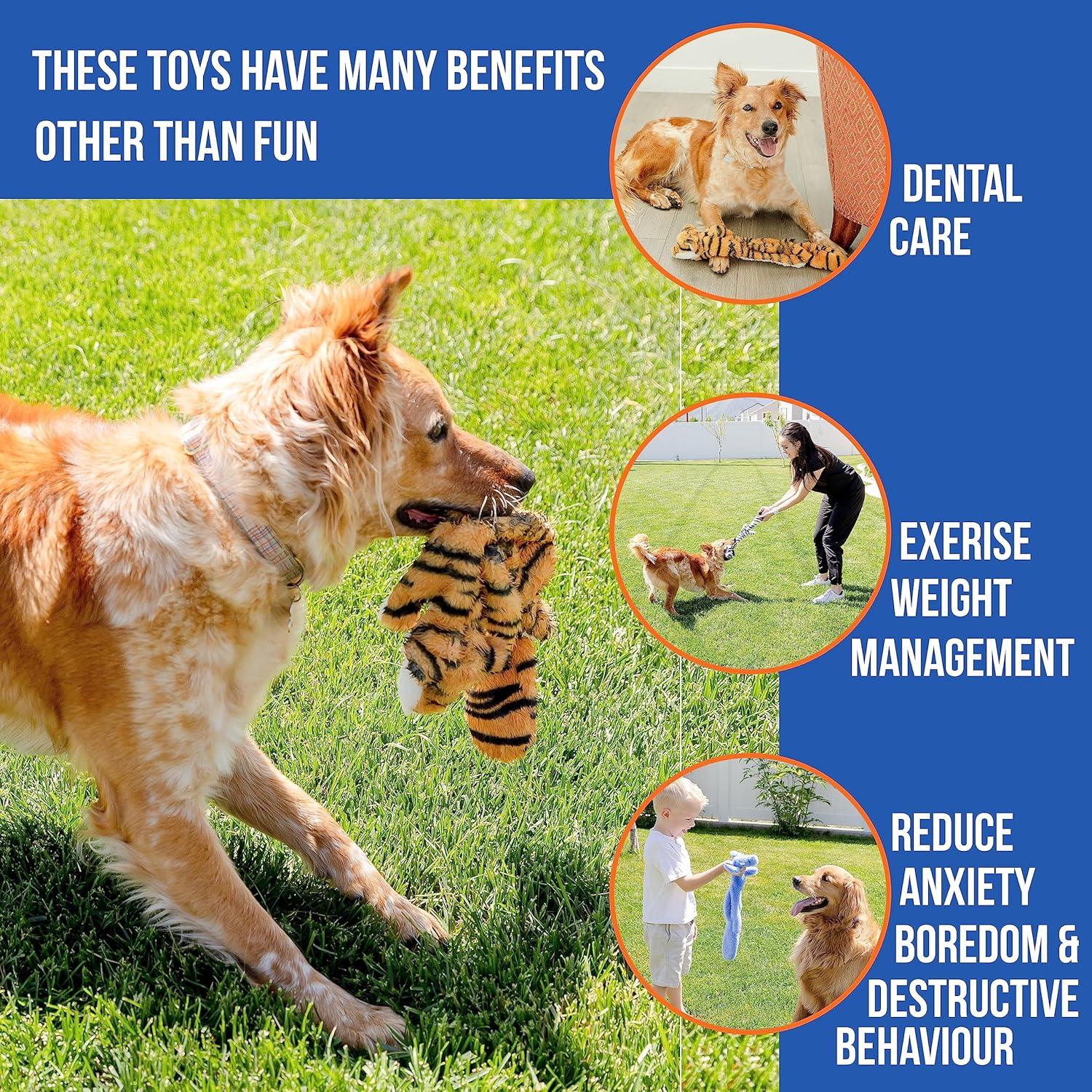 Juego de Juguetes para Perros WOOF WONDERS 5 Piezas