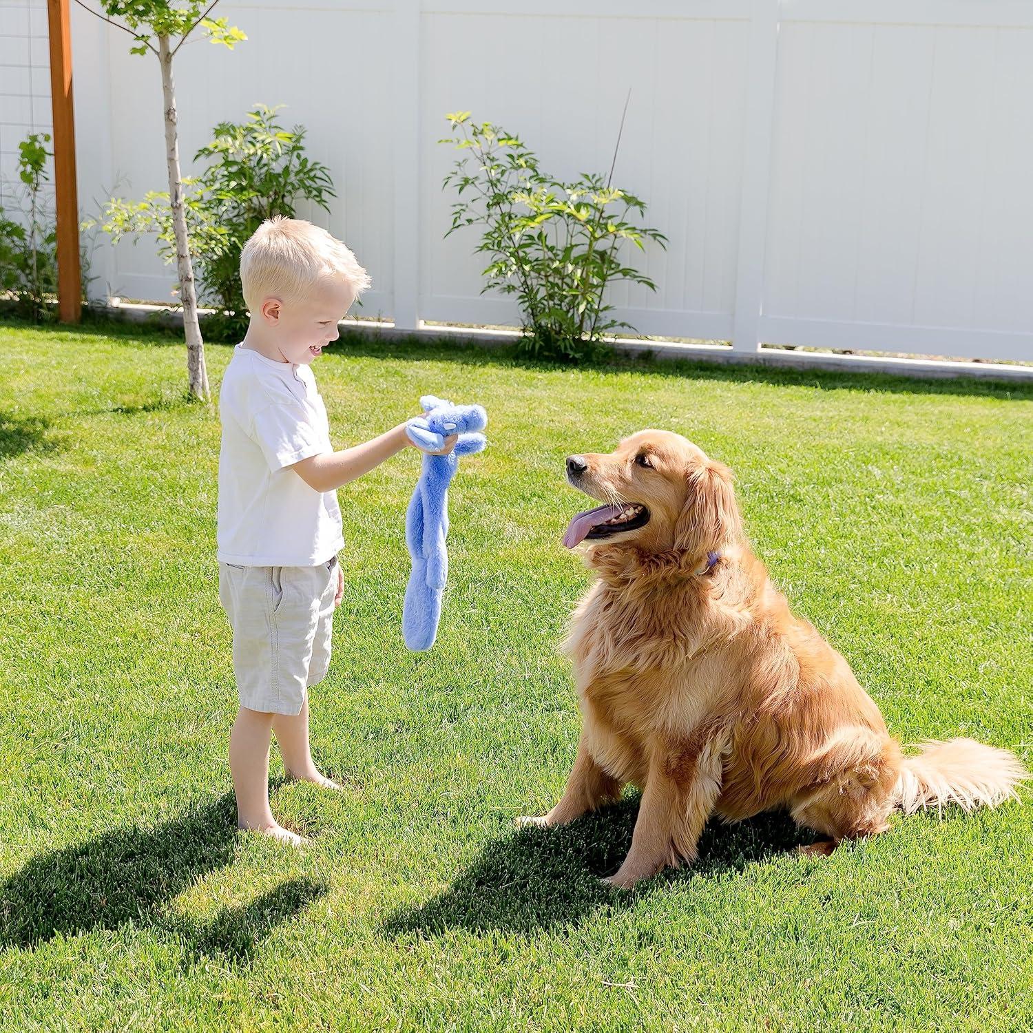 Juego de Juguetes para Perros WOOF WONDERS 5 Piezas