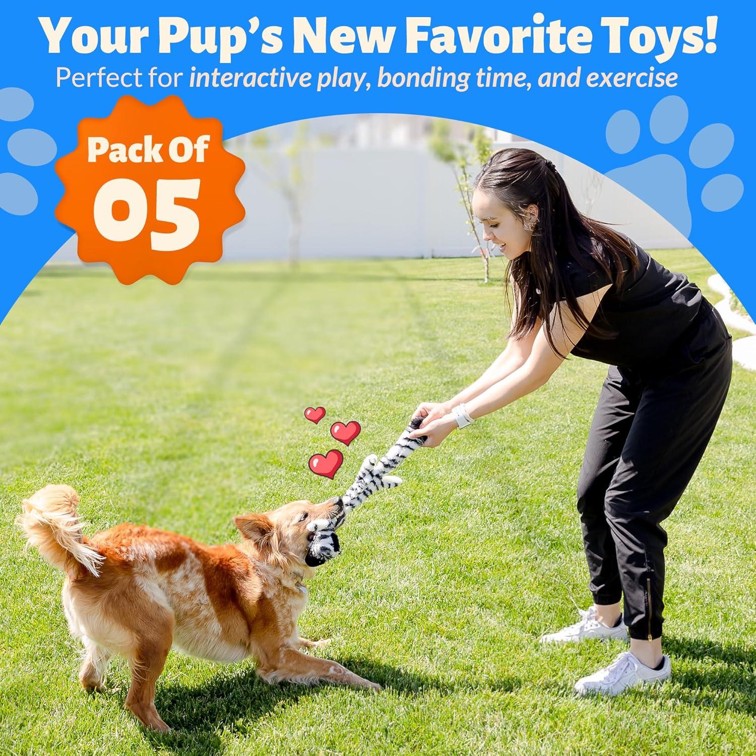 Juego de Juguetes para Perros WOOF WONDERS 5 Piezas