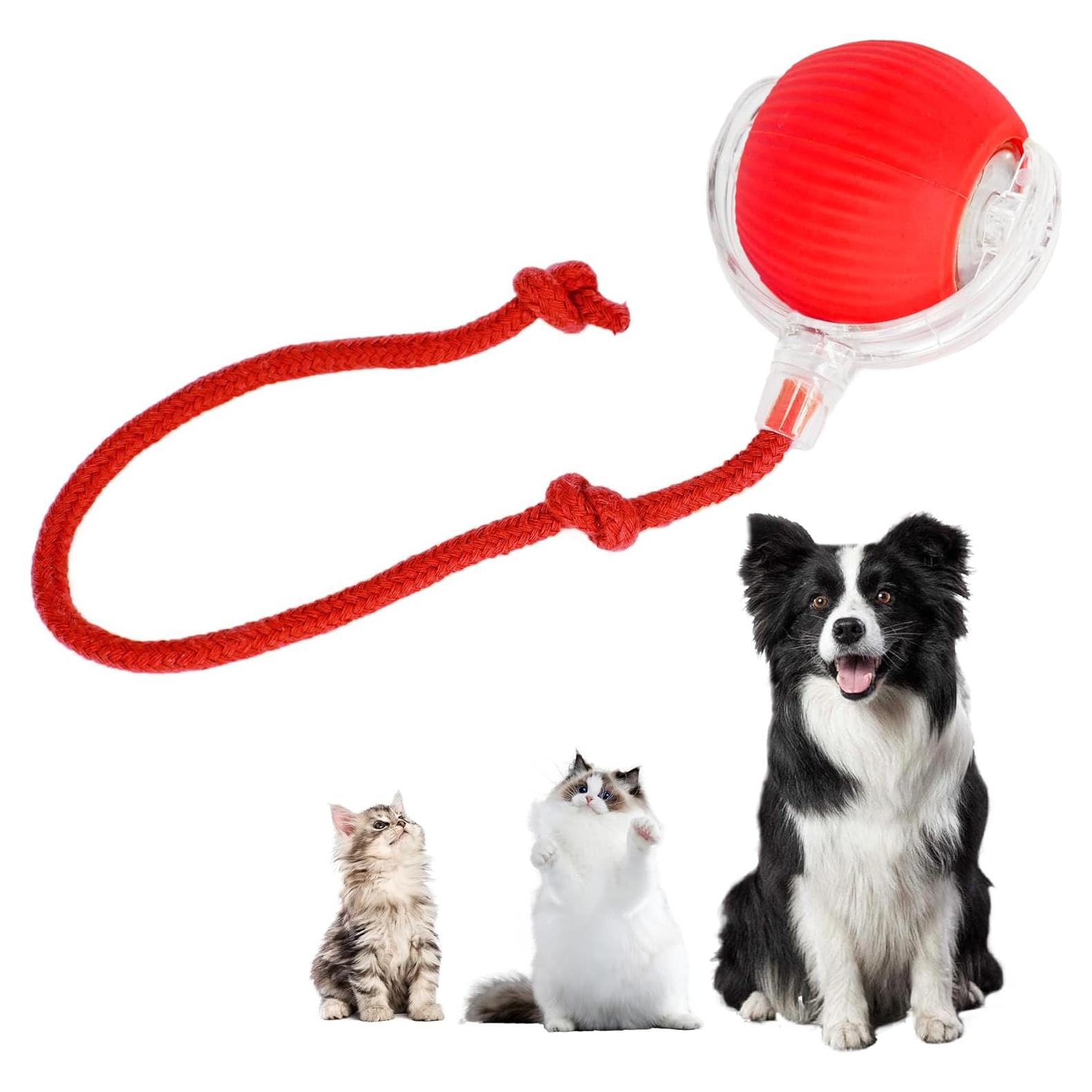 Bola Interactiva para Gatos y Perros KumCinm Roja 5cm