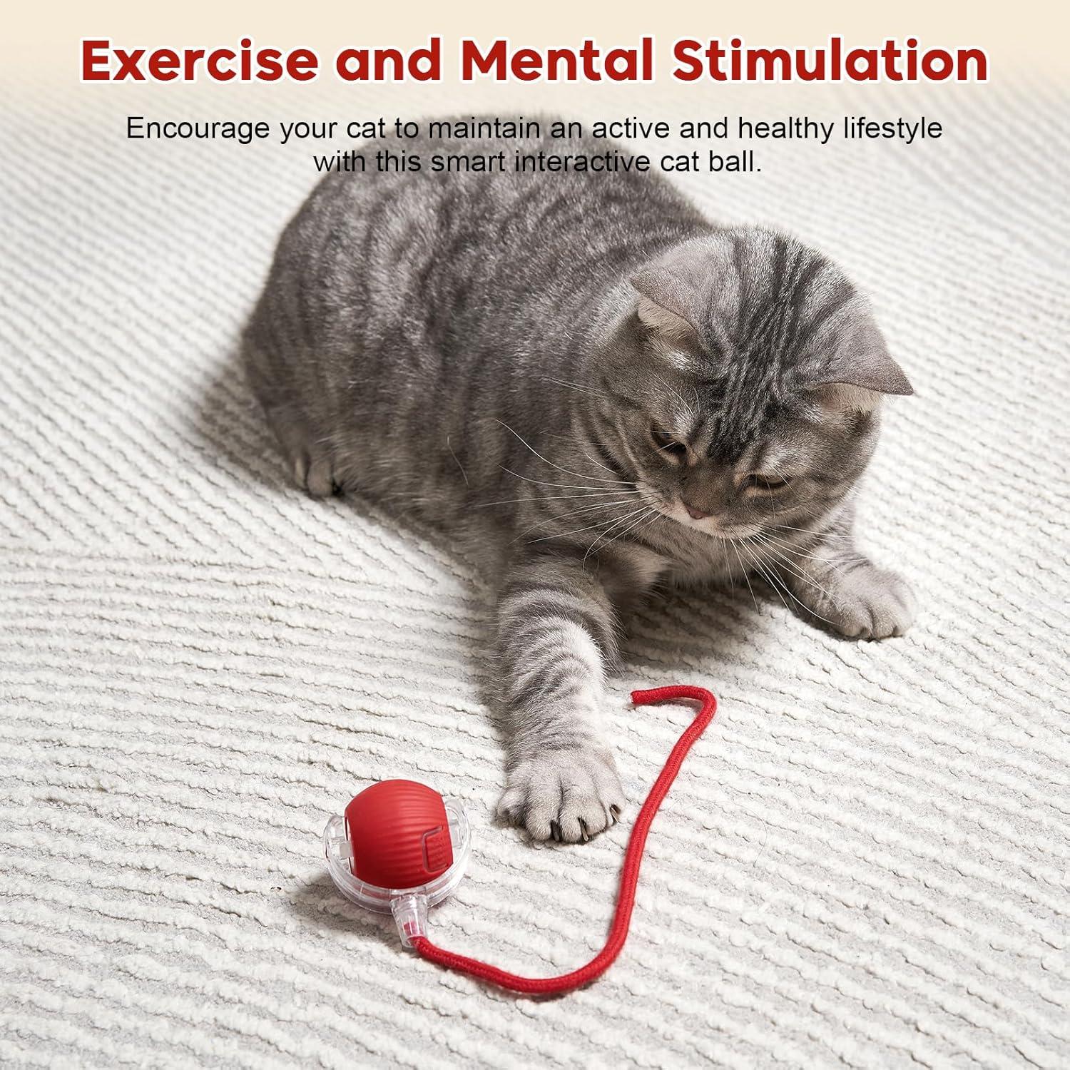 Bola Interactiva para Gatos y Perros Utroni RXDM1 6,5cm