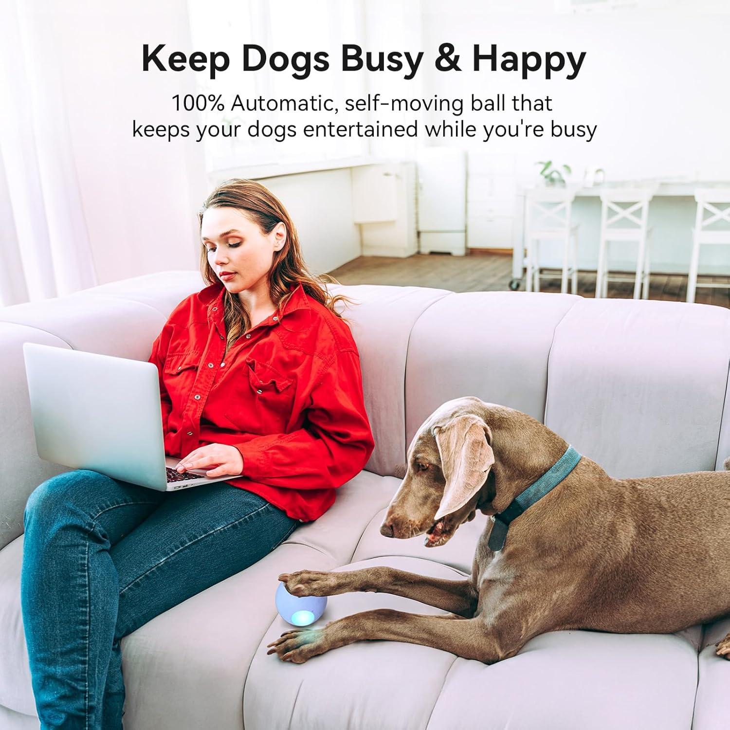 Bola Malvada PE Cheerble para Perros Medianos, Interactiva LED