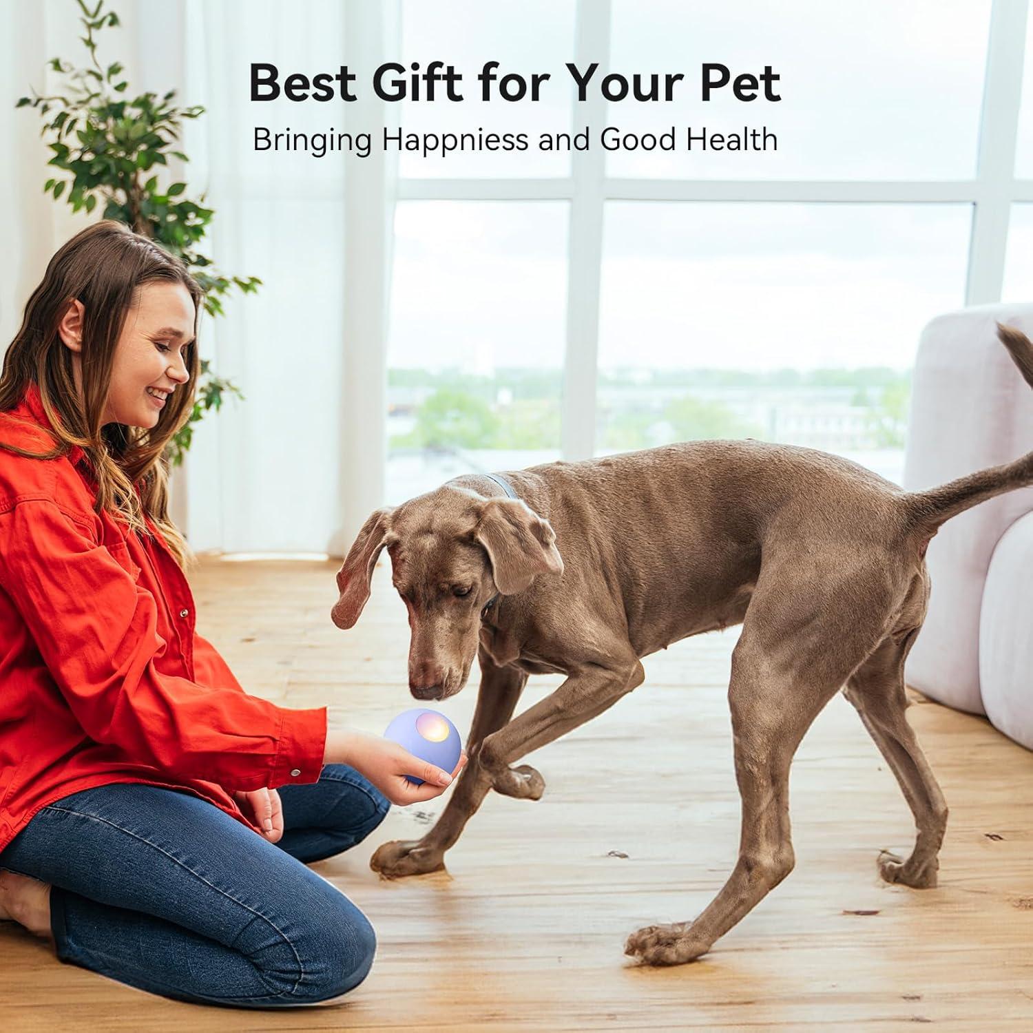 Bola Malvada PE Cheerble para Perros Medianos, Interactiva LED