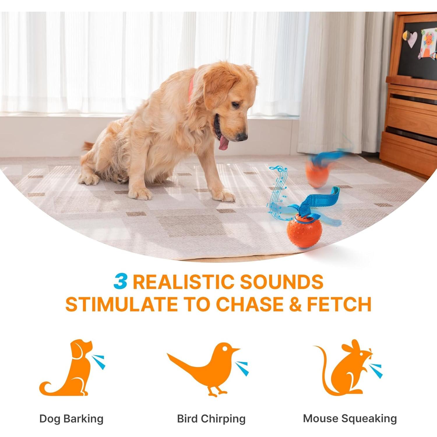 Pelota Interactiva para Perros Pubialo D31 Recargable