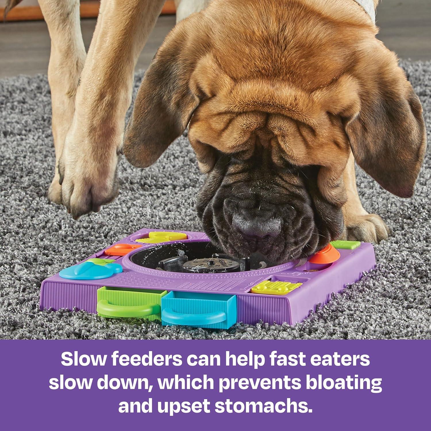 Rompecabezas Alimentador DJ Doggo Brightkins 2 en 1 para Perros