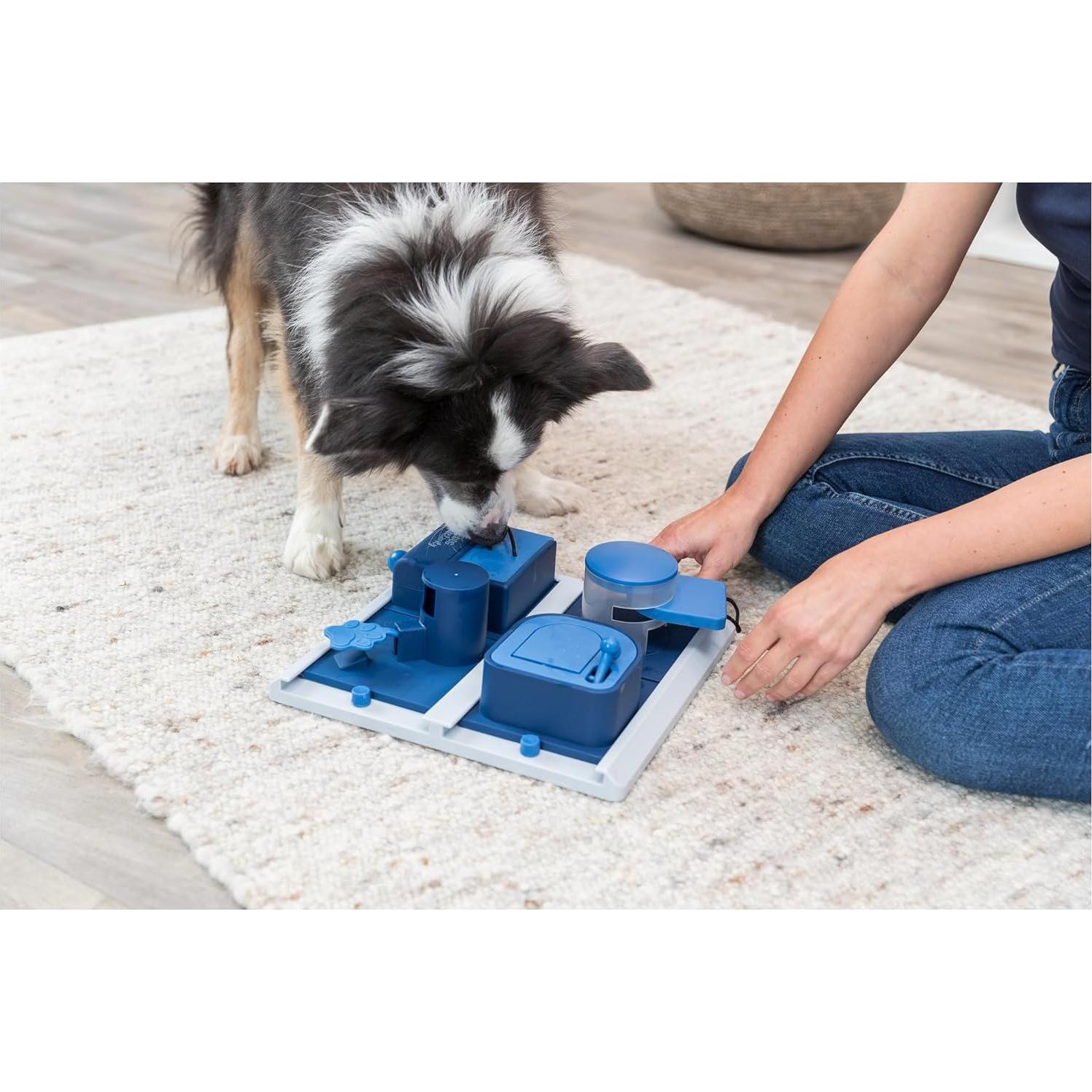 TRIXIE Caja de Póker Juguete Enriquecimiento Perros Nivel 3