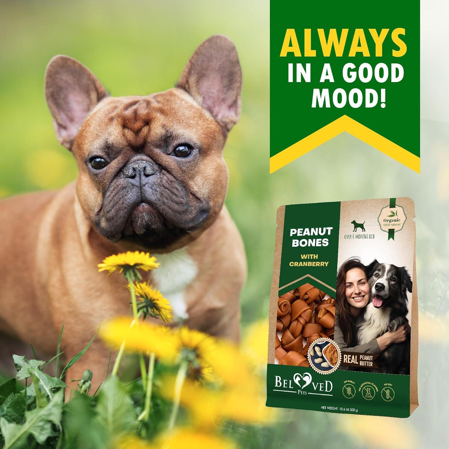 Galletas para Perros Beloved Pets Mantequilla de Maní 330g