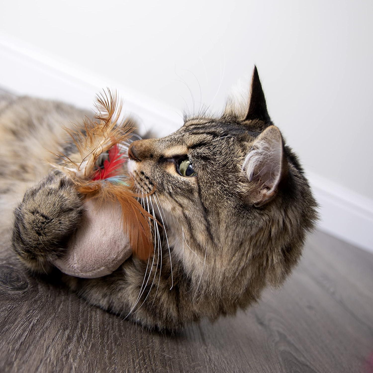 Juguete Electrónico para Gatos SmartyKat Chit Chatter