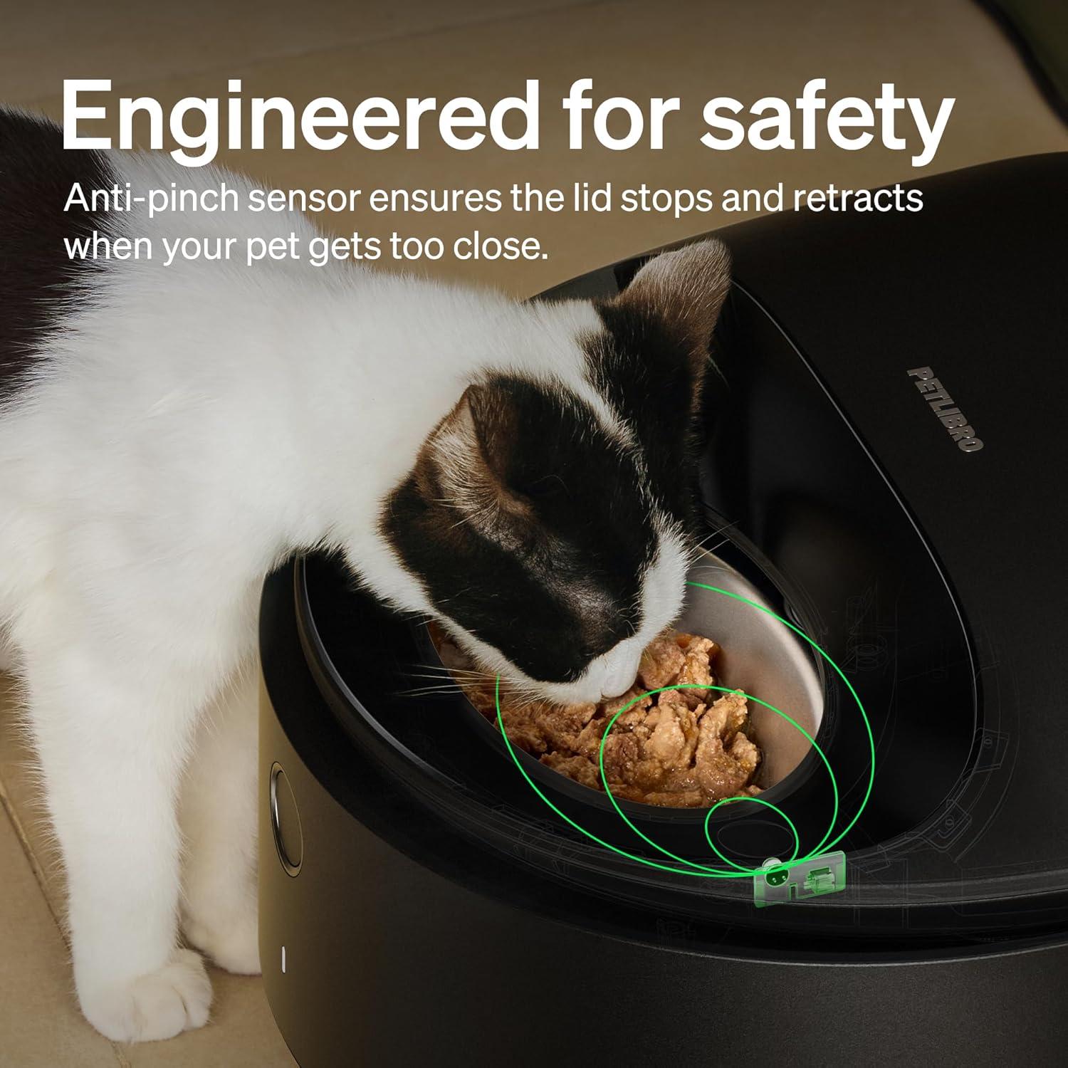 Alimentador Automático para Gatos PETLIBRO 3 Comidas Frescas