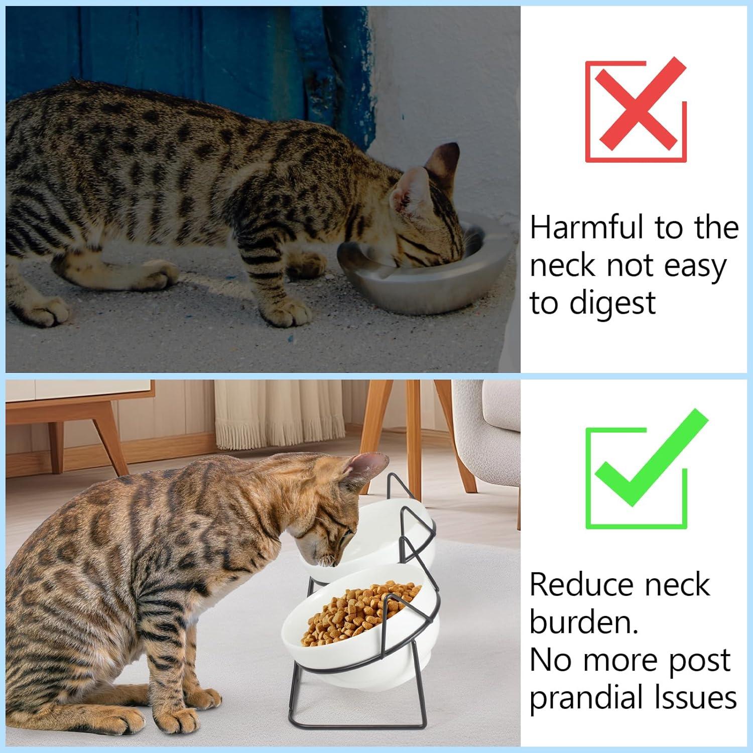 Cuencos Elevados Inclinados para Gatos MCSAPIL Doble Cerámica