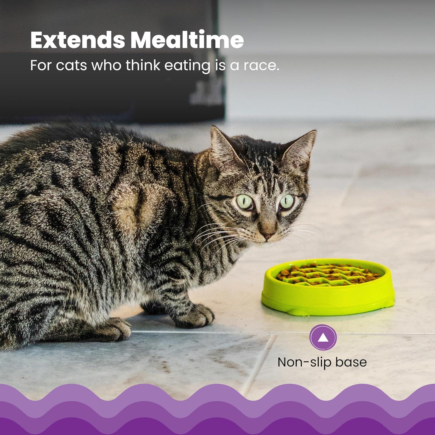 Tazón de Alimentación Lenta para Gatos Outward Hound Verde