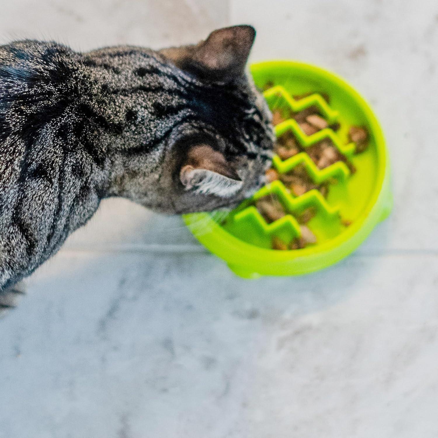 Tazón de Alimentación Lenta para Gatos Outward Hound Verde
