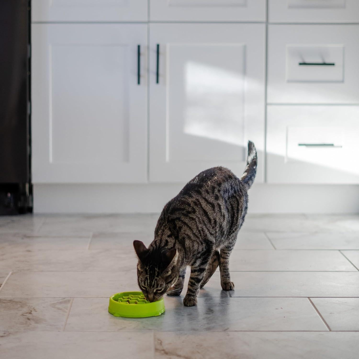 Tazón de Alimentación Lenta para Gatos Outward Hound Verde