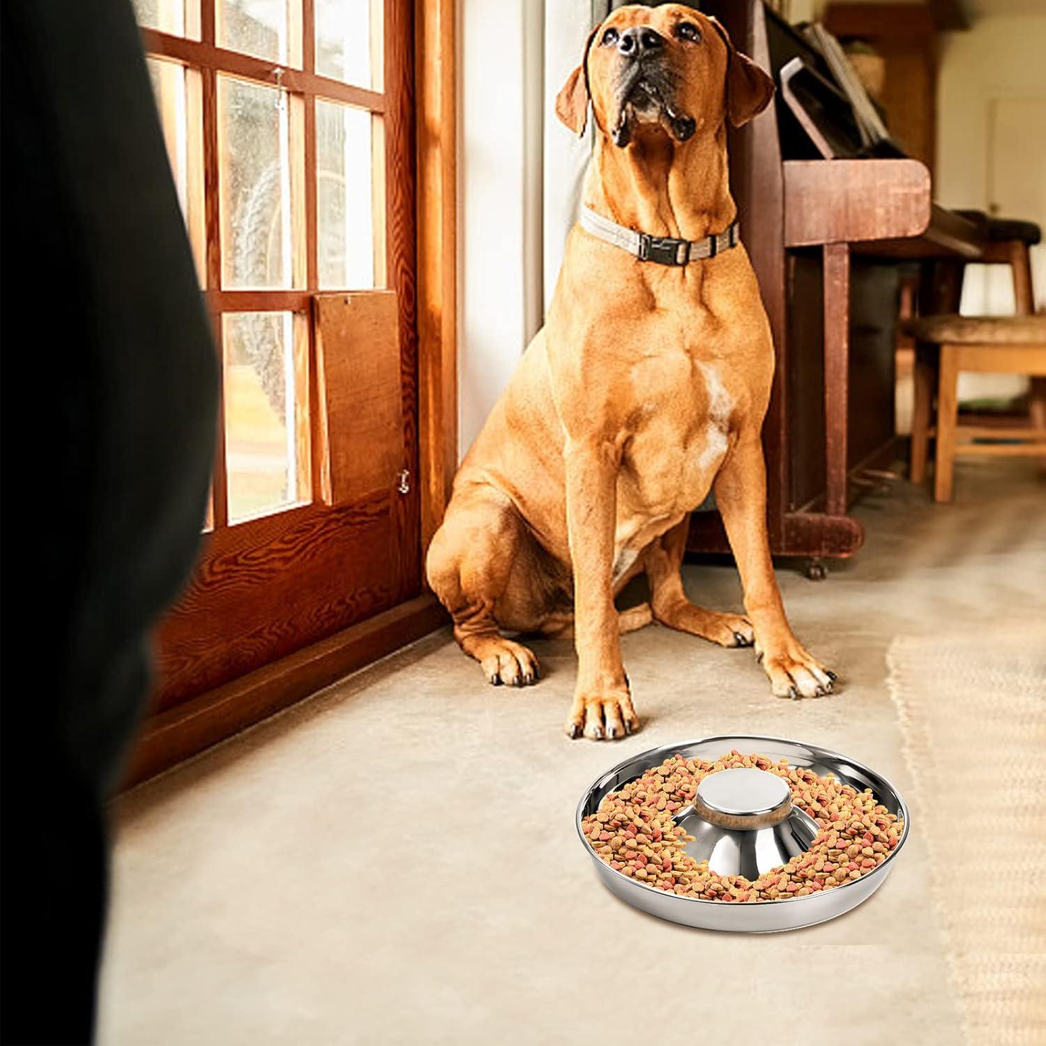 Cuencos de Acero Inoxidable SOUJOY para Cachorros 25,4 cm