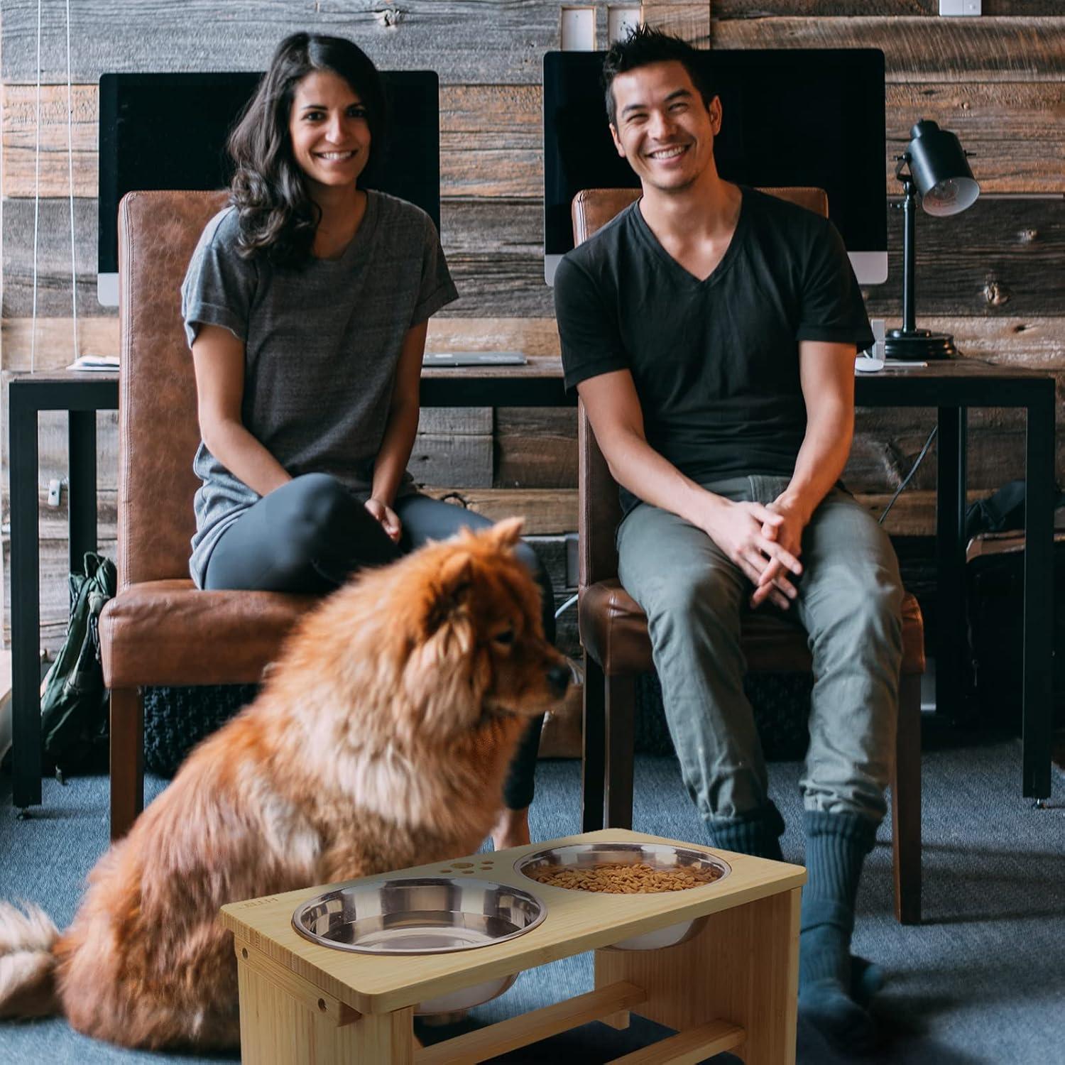 Soporte Elevado para Perros WYHTB con 2 Cuencos Acero 44.6cm