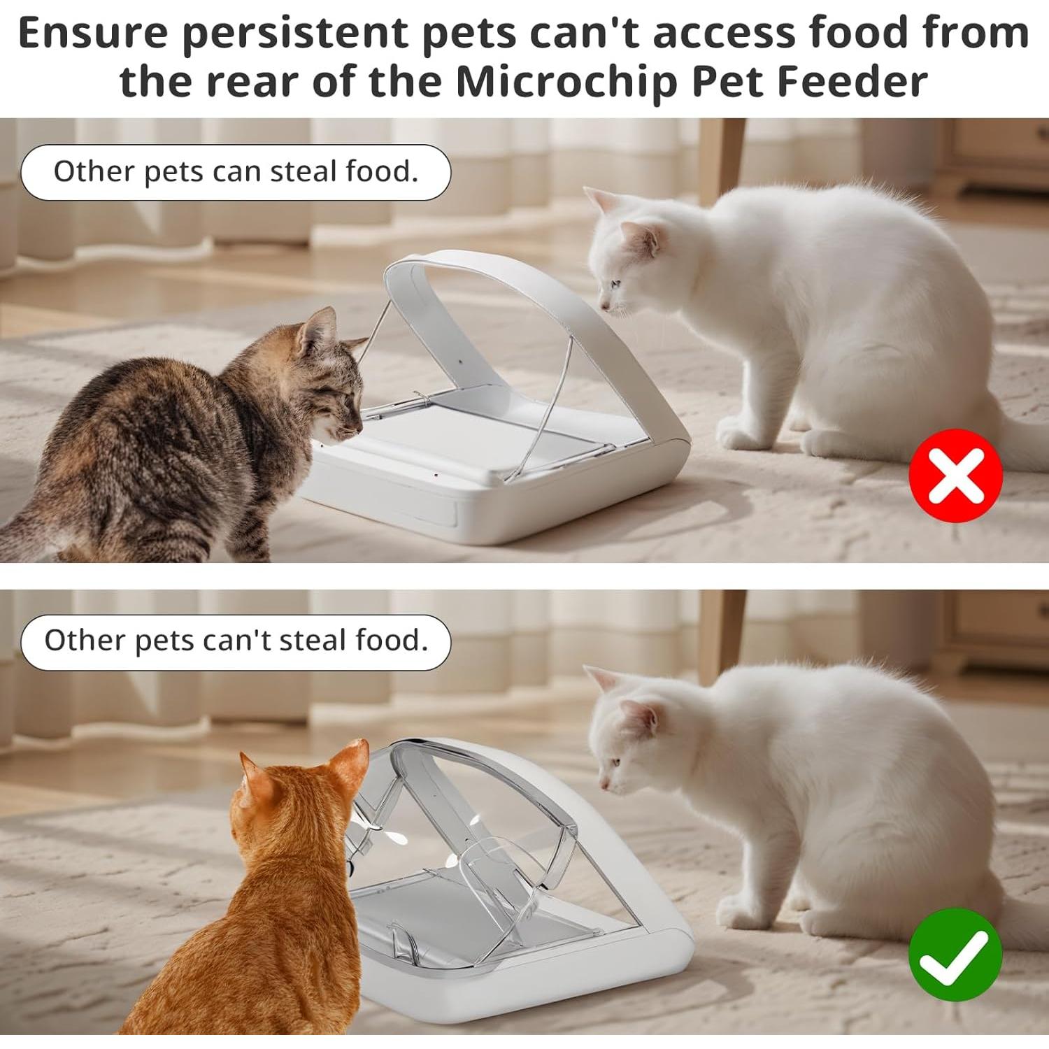 Cubierta Trasera para Comedero Automático Baofum D6-RFID