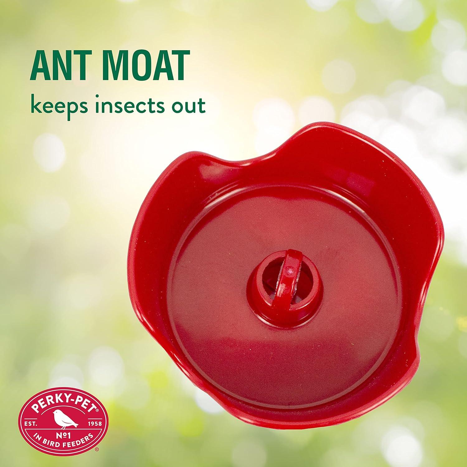 Alimentador de Colibríes Perky-Pet 203CPBR Vidrio Rojo 236.6 ml