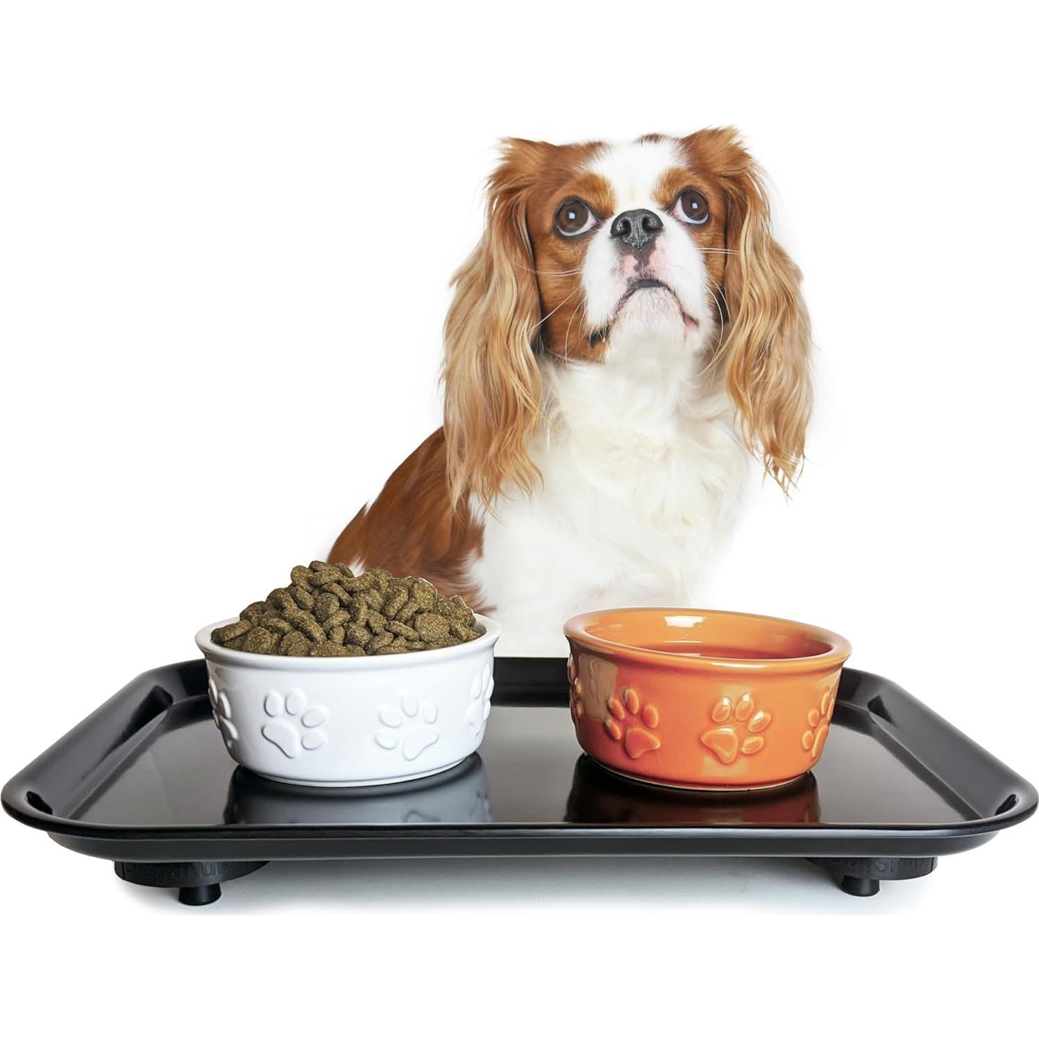 Bandeja Antihormigas Gus Goods 30x40 cm para Gato y Perro