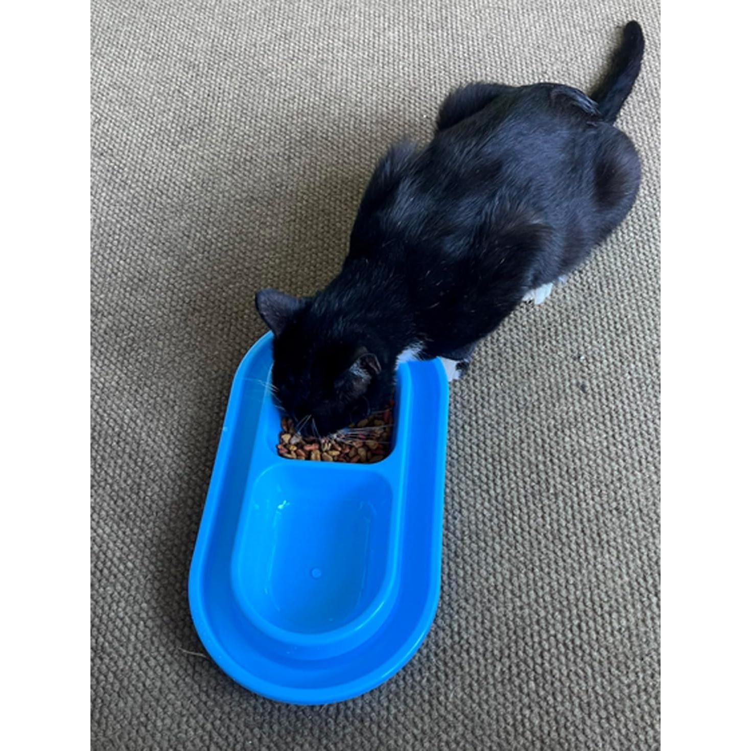 Tazón de Comida Ant Away 1.89 L para Perros y Gatos With You6688