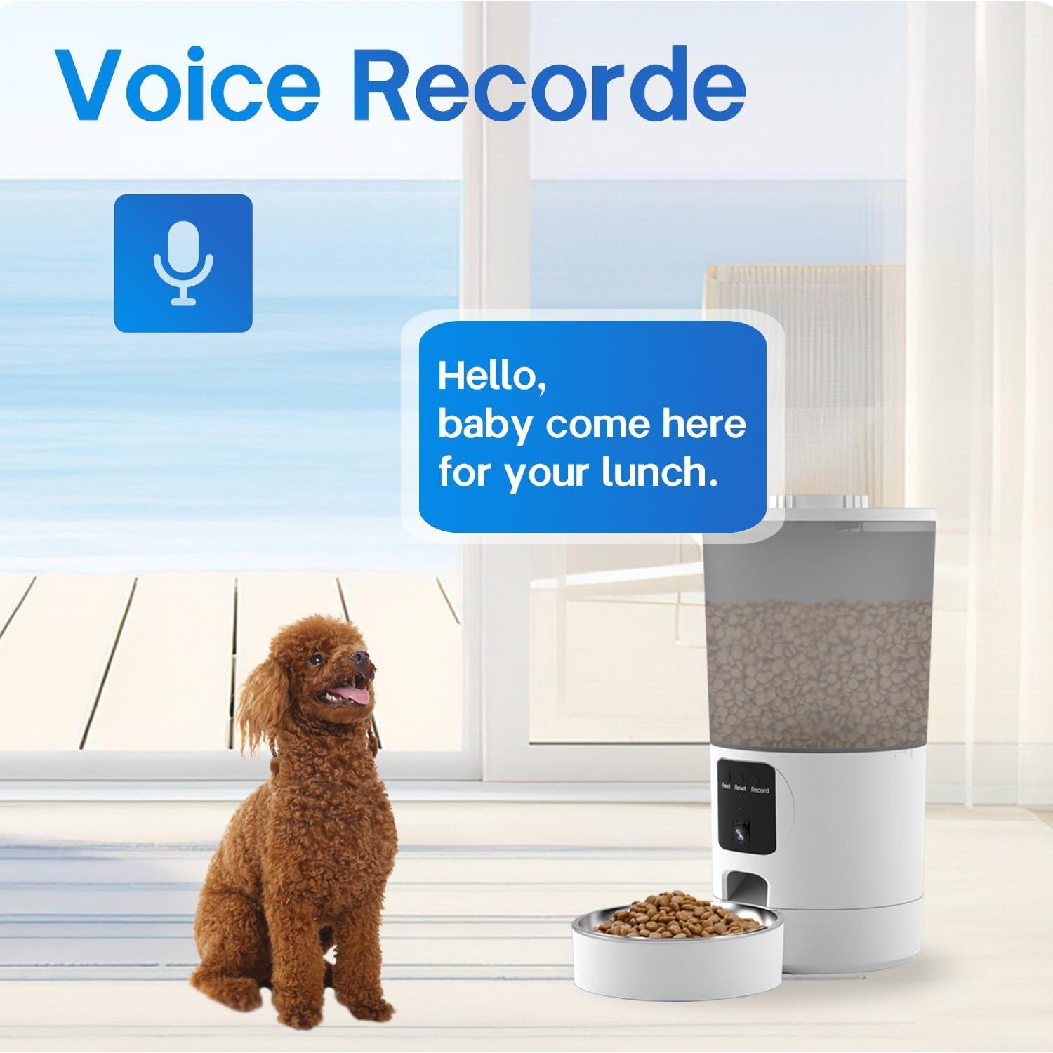 Comedero Automático para Gatos SonoxJunan 6L con Cámara 2K