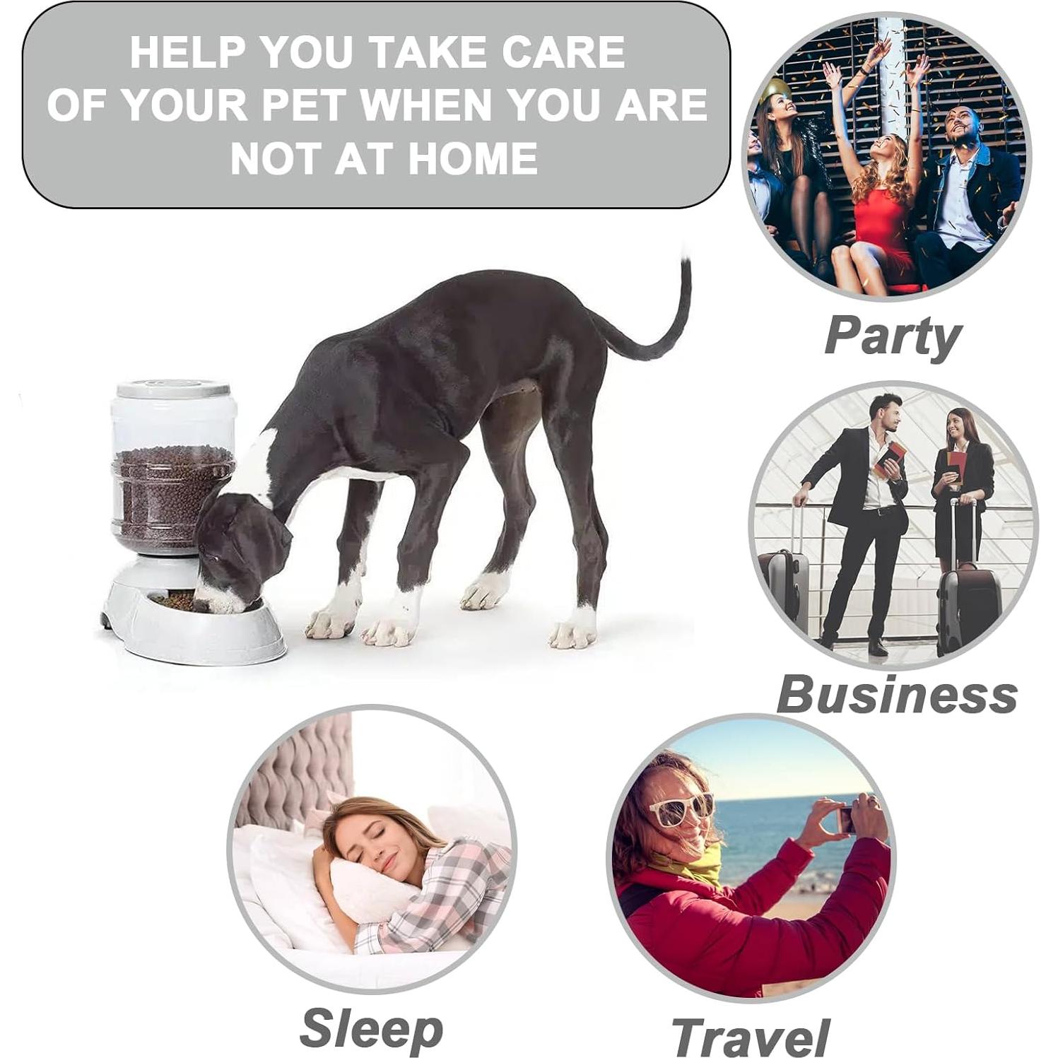 Dispensador Automático de Comida Kenond 3 Galones para Mascotas