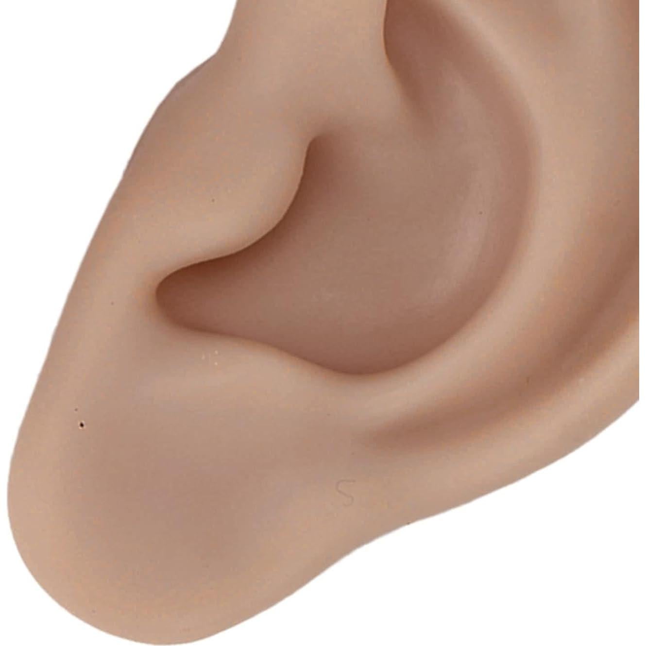 Modelo de Oreja de Silicona Luqeeg 17x8.6 cm para Perforación