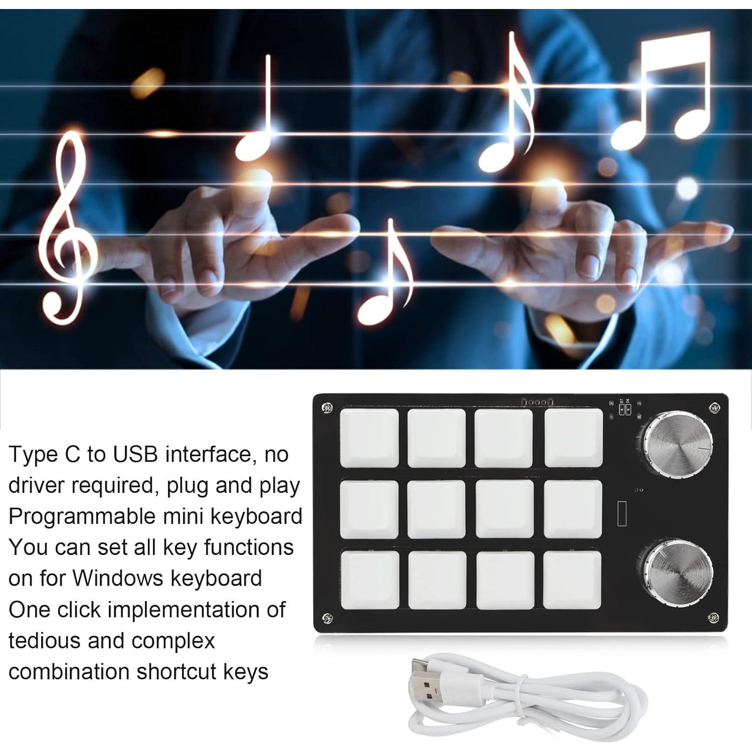 Teclado Mecánico Programable Diydeg Blanco 12 Teclas USB