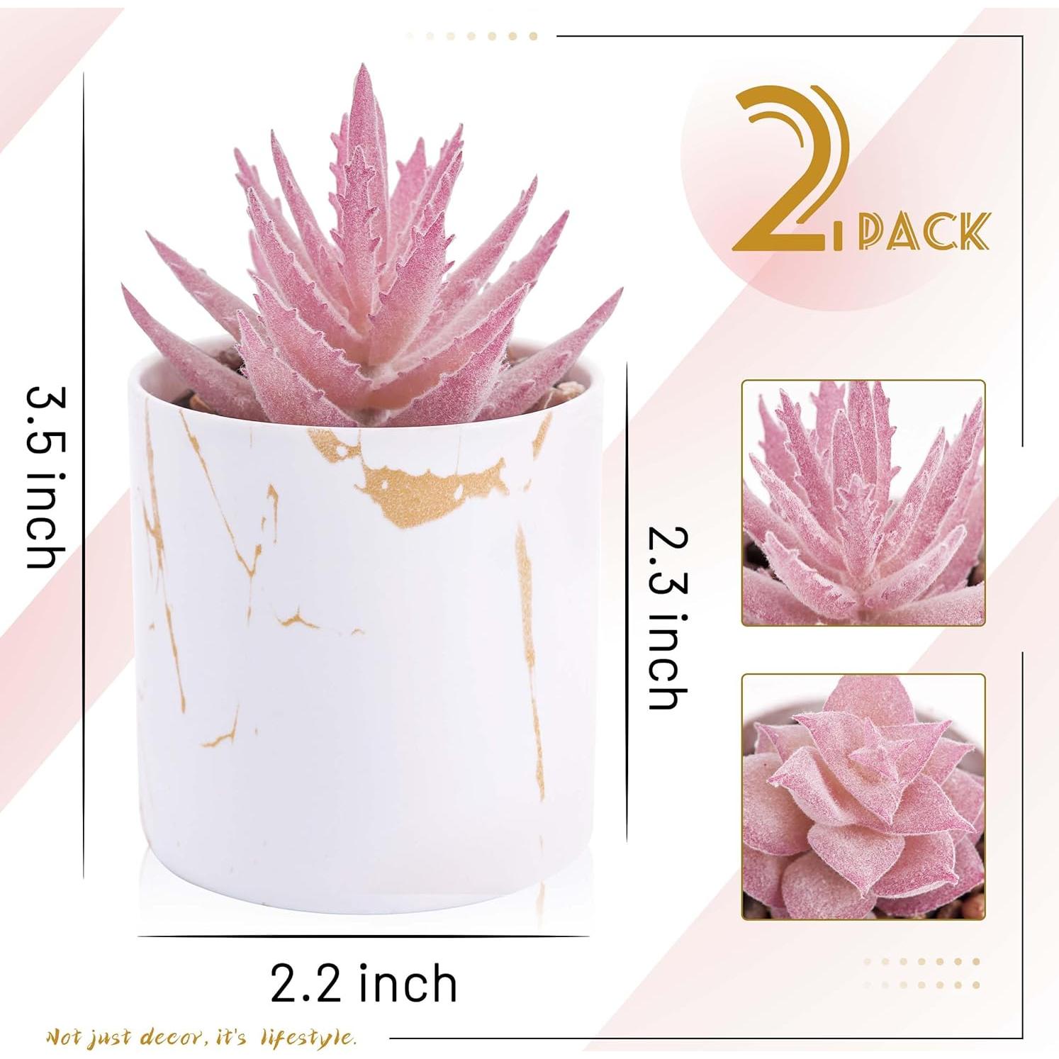 Set 2 Plantas Suculentas Artificiales Der Rose Rosa