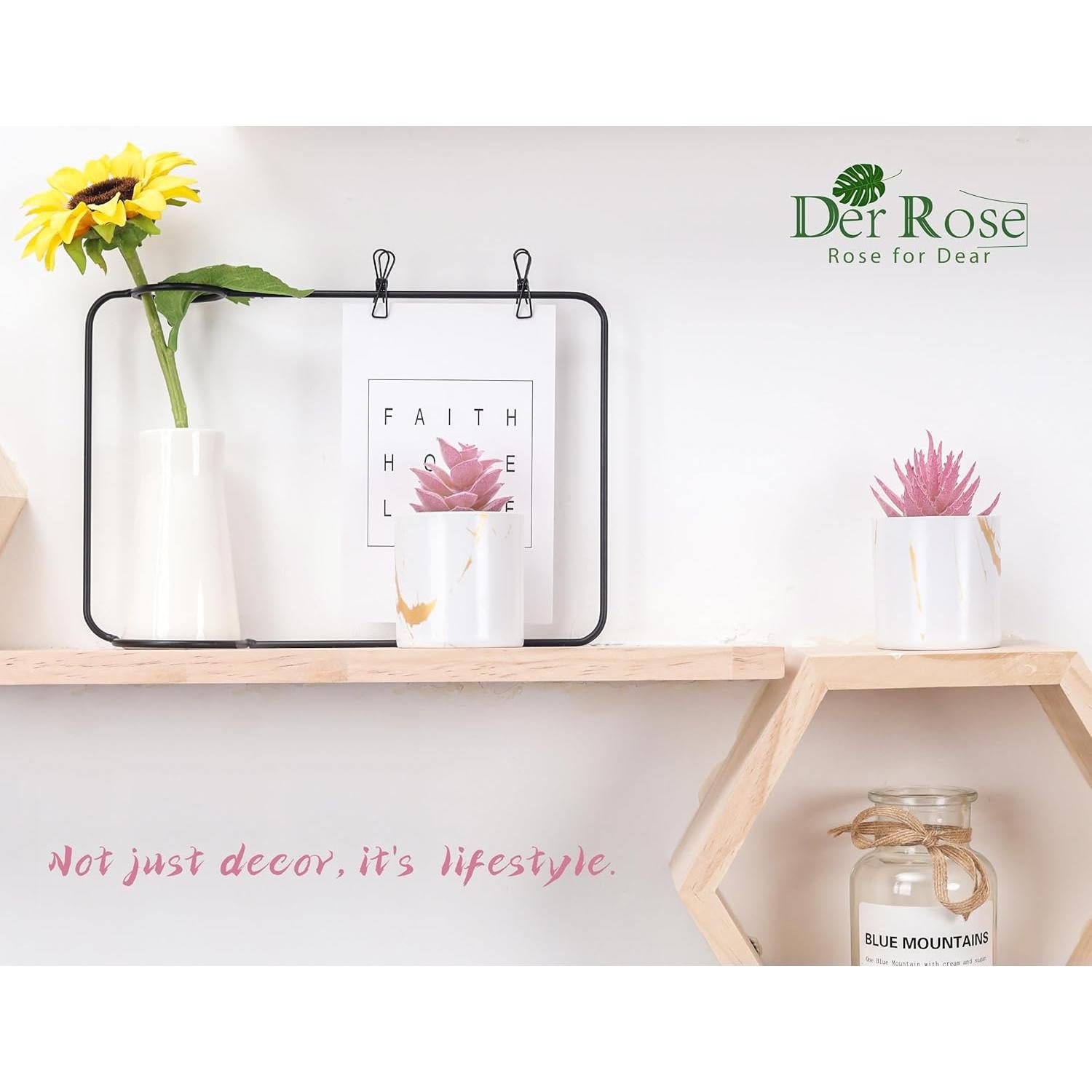 Set 2 Plantas Suculentas Artificiales Der Rose Rosa