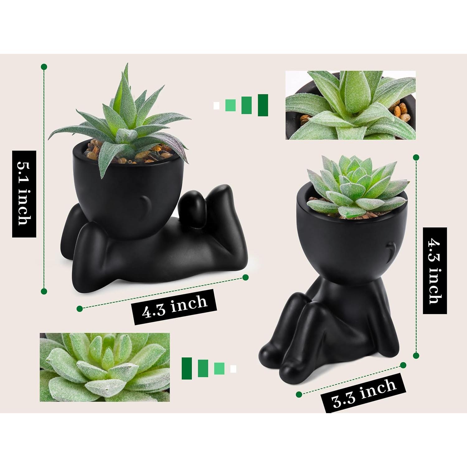 Set de 2 Plantas Suculentas Artificiales Der Rose 10.9 cm