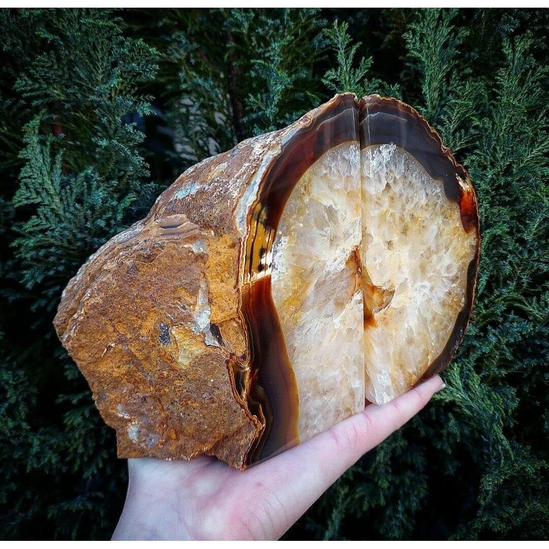 Sujetadores de Libros AMOYSTONE de Agata Natural 3 kg