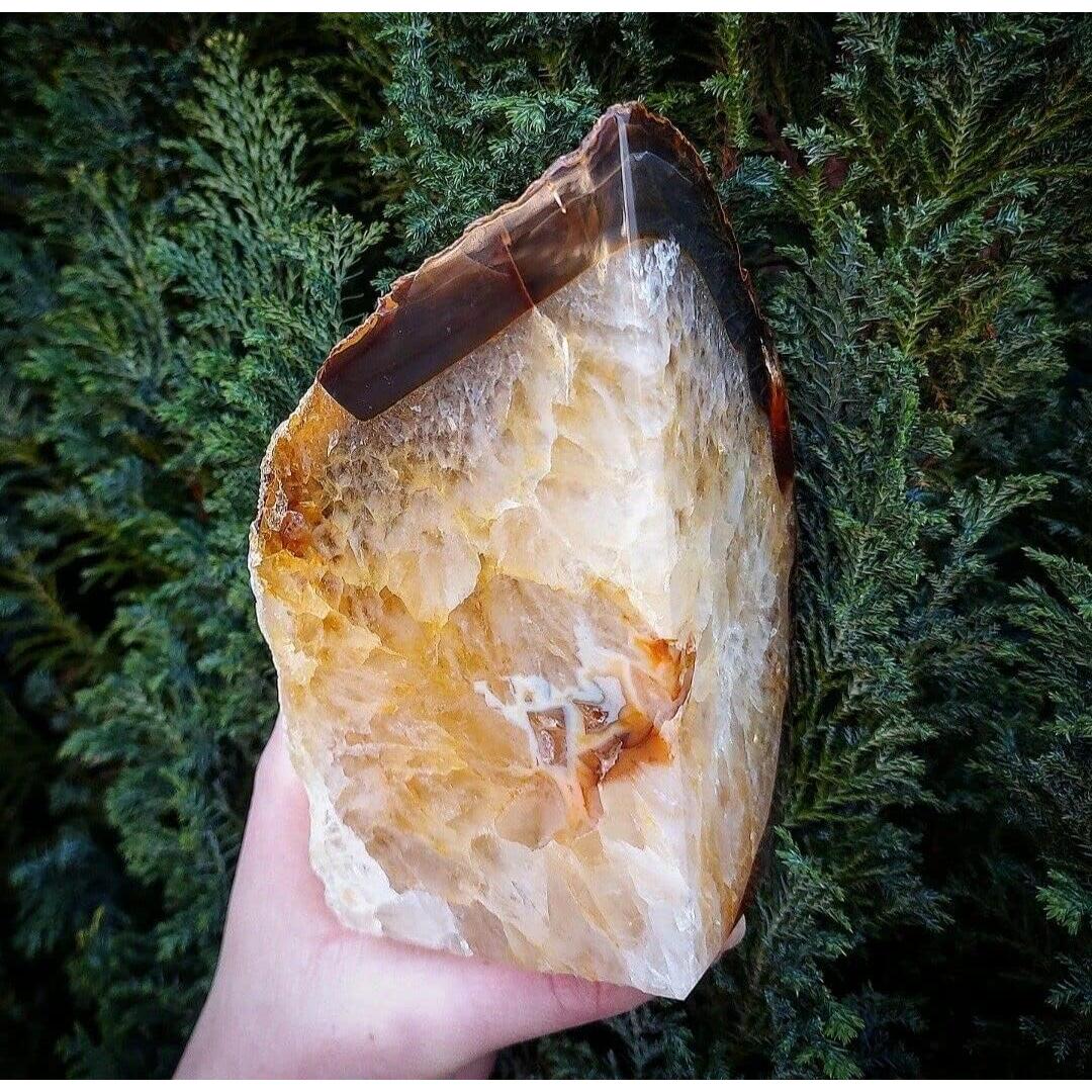 Sujetadores de Libros AMOYSTONE de Agata Natural 3 kg