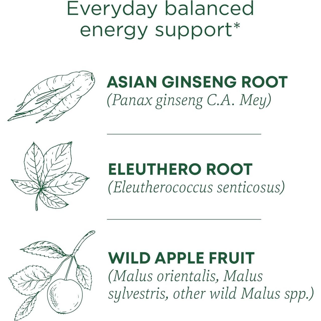 Té Orgánico Tradicional para Estrés con Ginseng y Menta - 16 Bolsitas