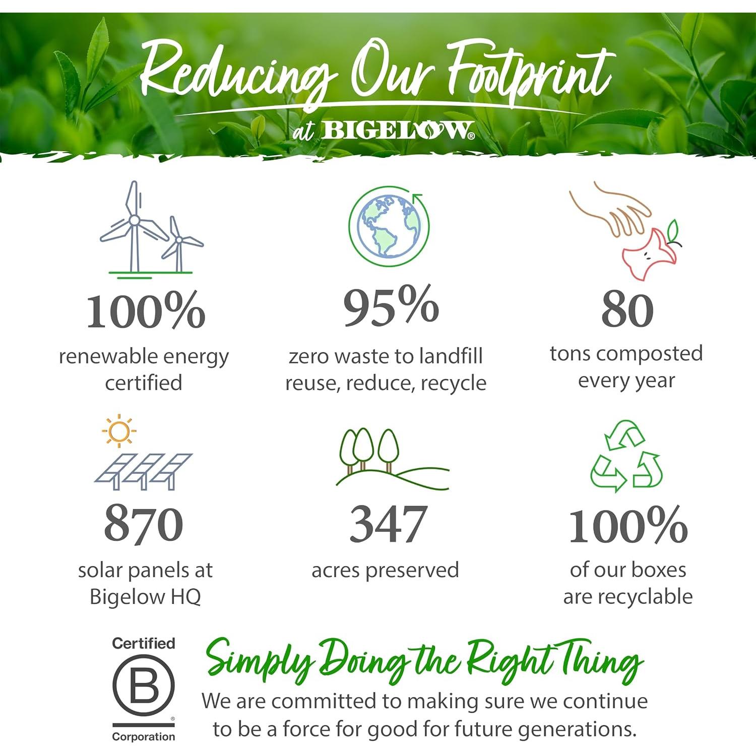 Té de Hierbas Bigelow Benefits Rosa y Menta Sin Cafeína 108 Bolsitas