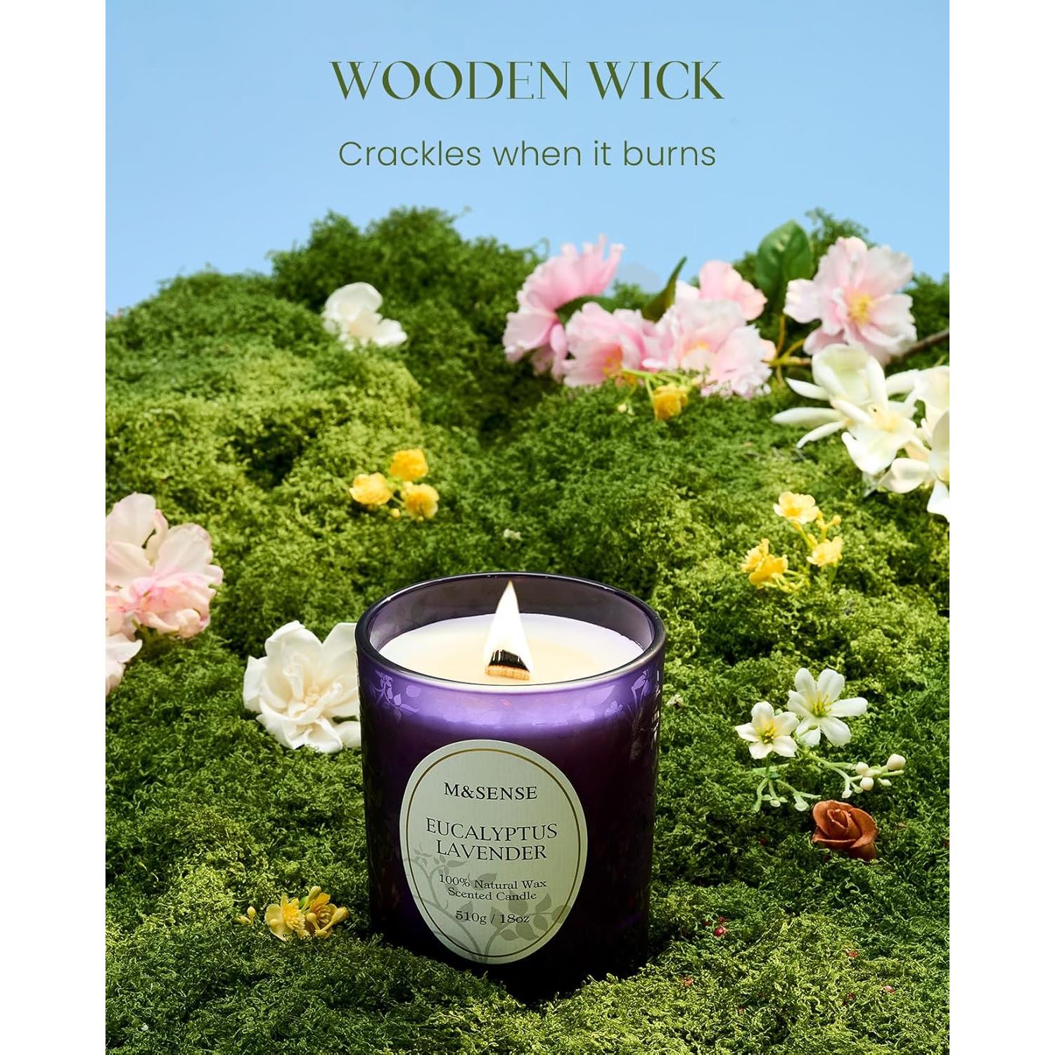 Vela Aromática M&SENSE Eucalipto y Lavanda 18oz 100h