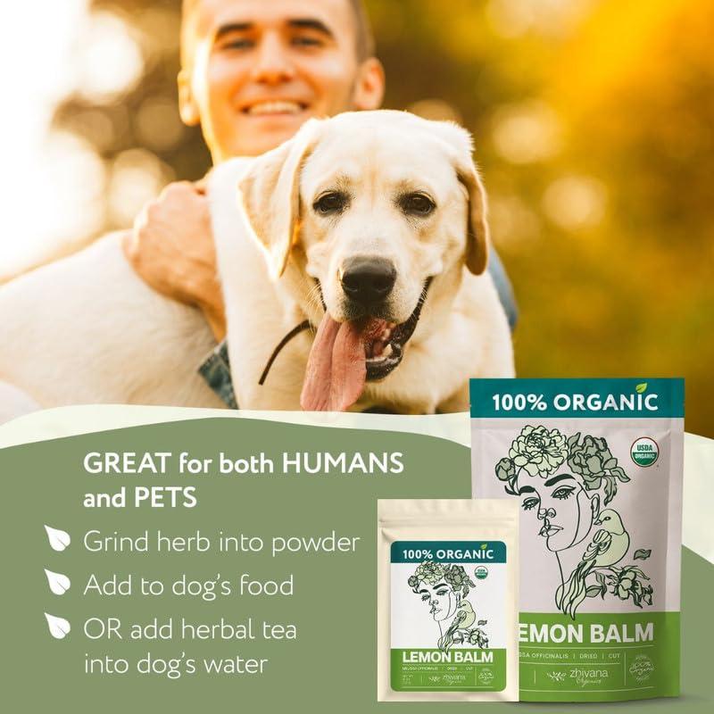 Té de Toronjil Orgánico Zhivana 113g - Antiestrés y Digestión