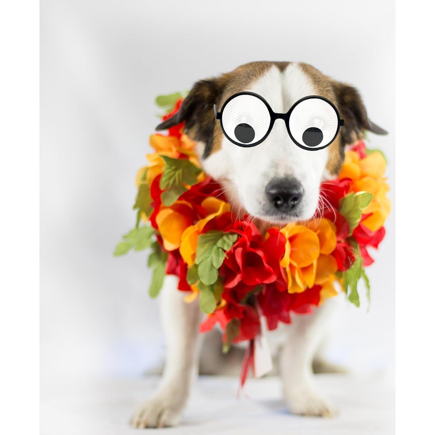 Gafas Divertidas Nakimo con Ojos Movibles para Fiesta