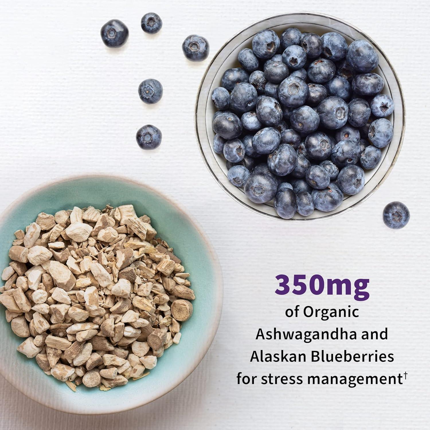 Suplemento Probiotico Mood+ Garden of Life 60 Cápsulas