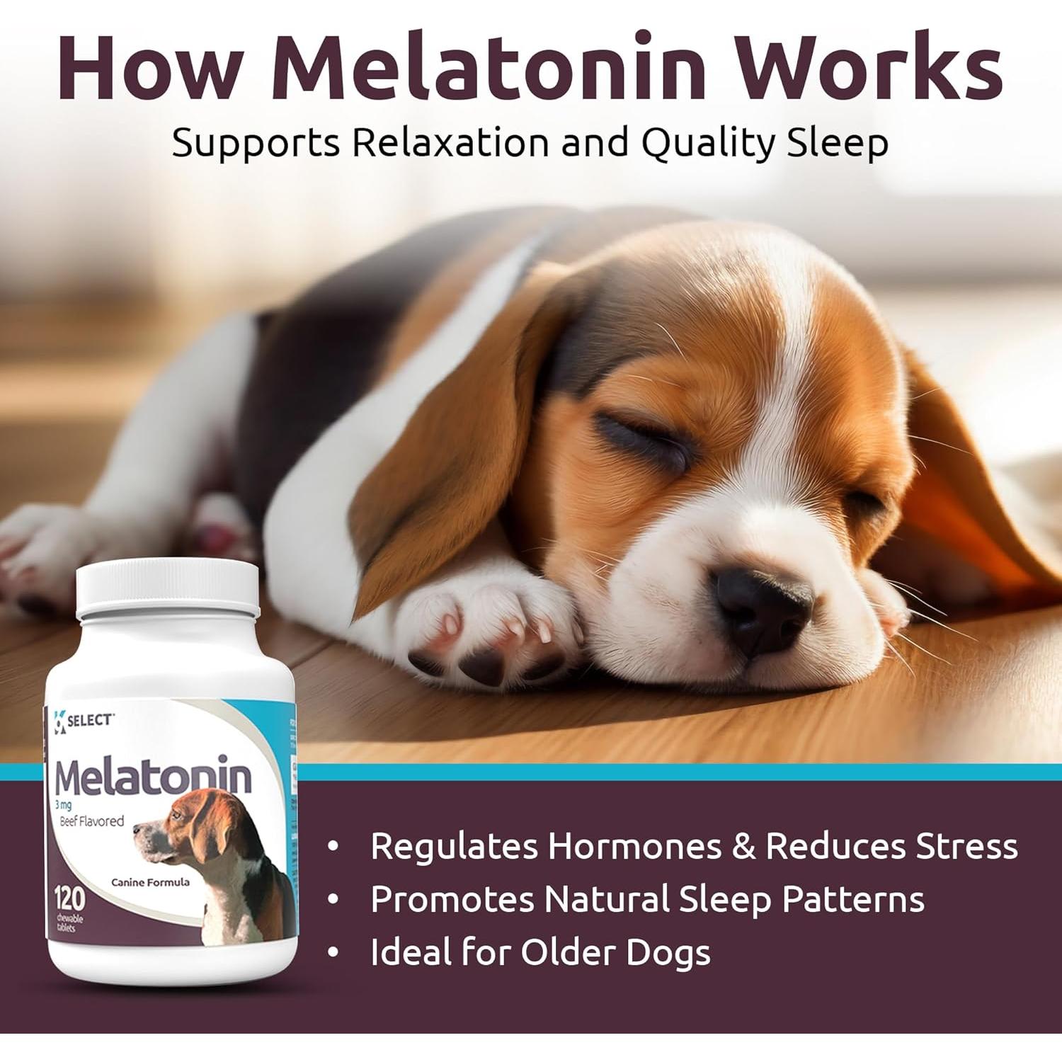 K9 Select Melatonina para Perros Pequeños - 120 Tabletas
