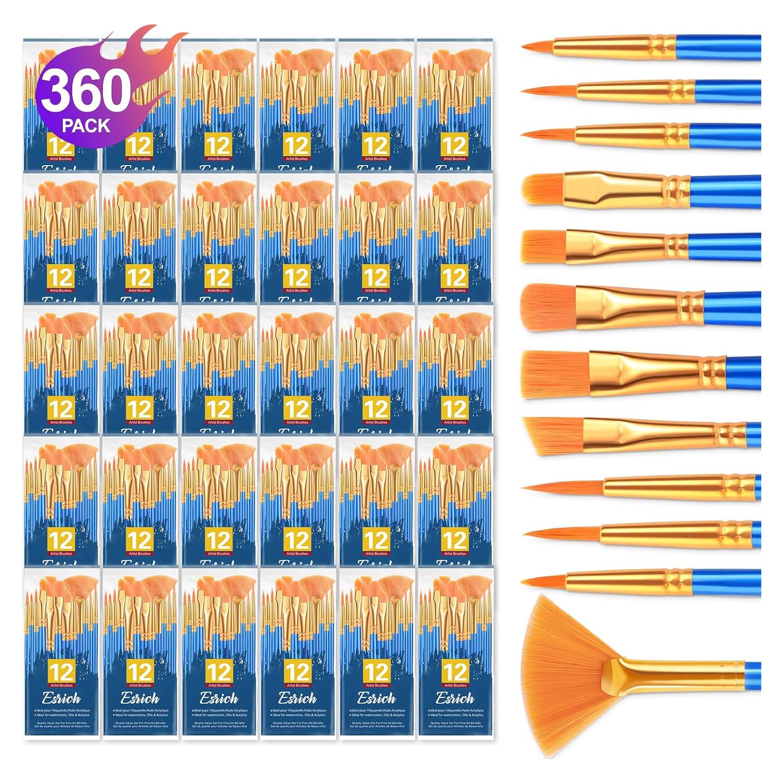 Juego de Pinceles ESRICH 360 Piezas para Pintura