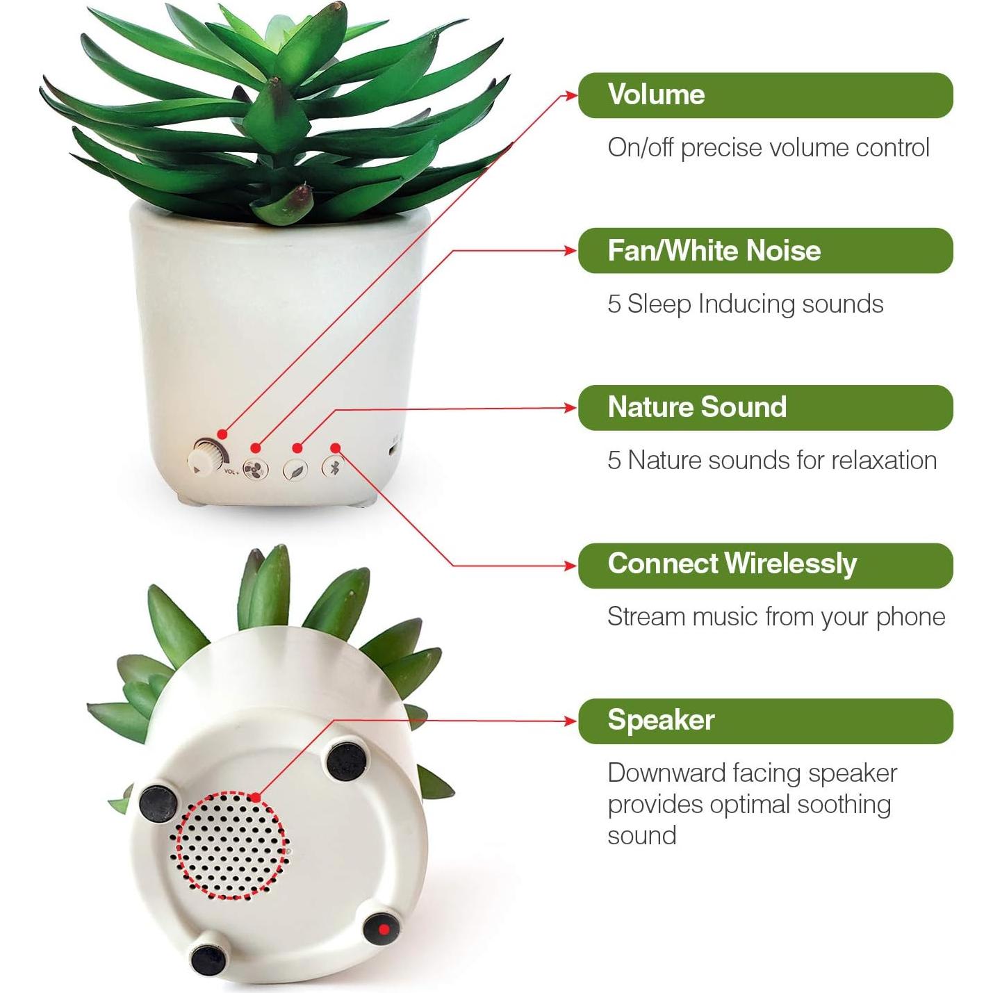 Máquina de Sonido con Planta Artificial Purpose 5263437427