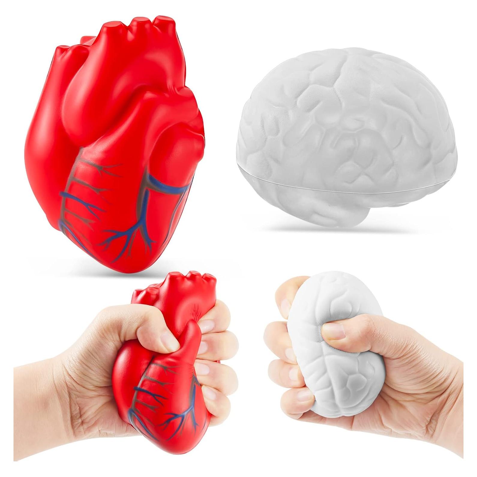 Juego de Juguetes Antiestrés Hungdao 2 Piezas Corazón y Cerebro