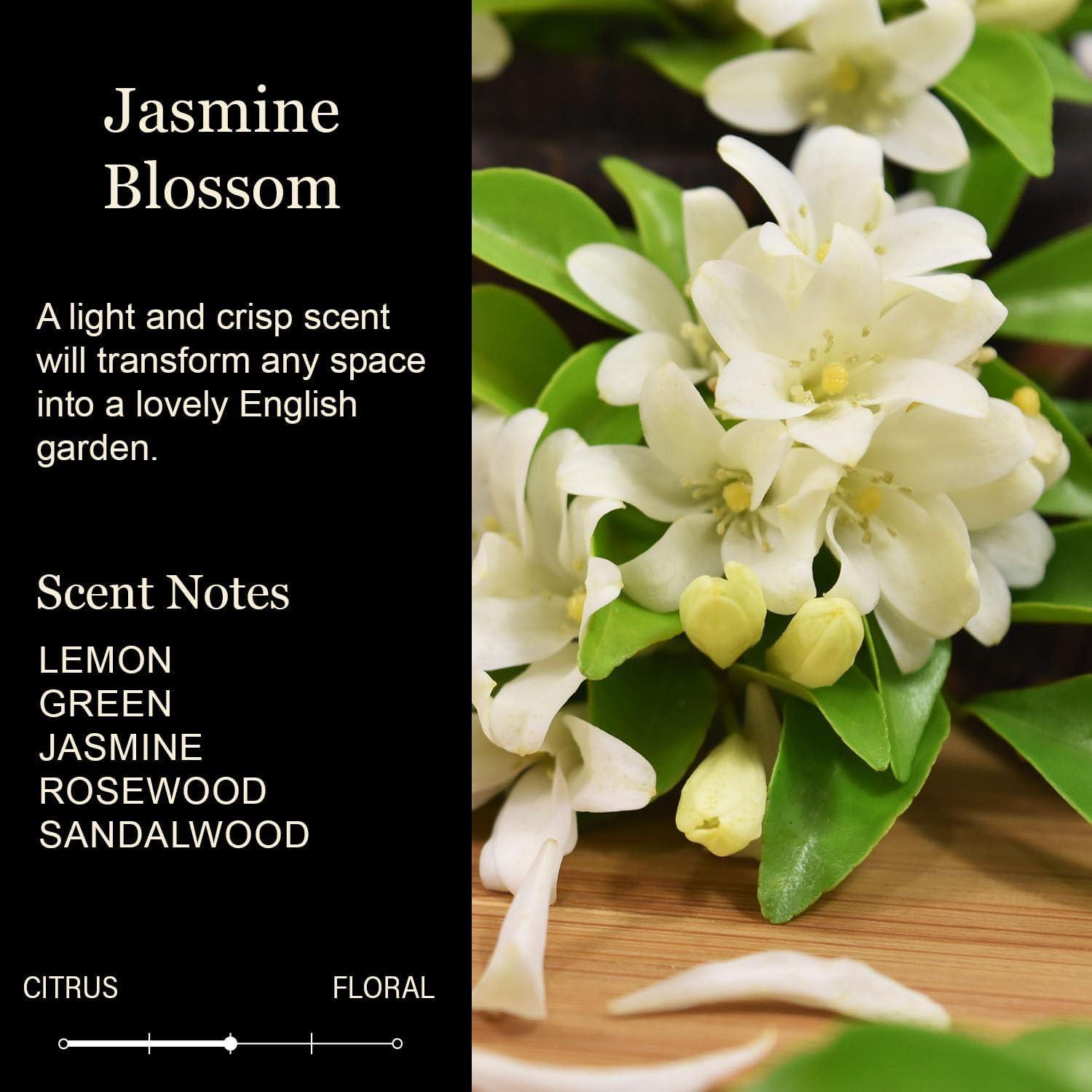 Vela Aromática de Soja 255g Cedar Crate - Flor de Jazmín